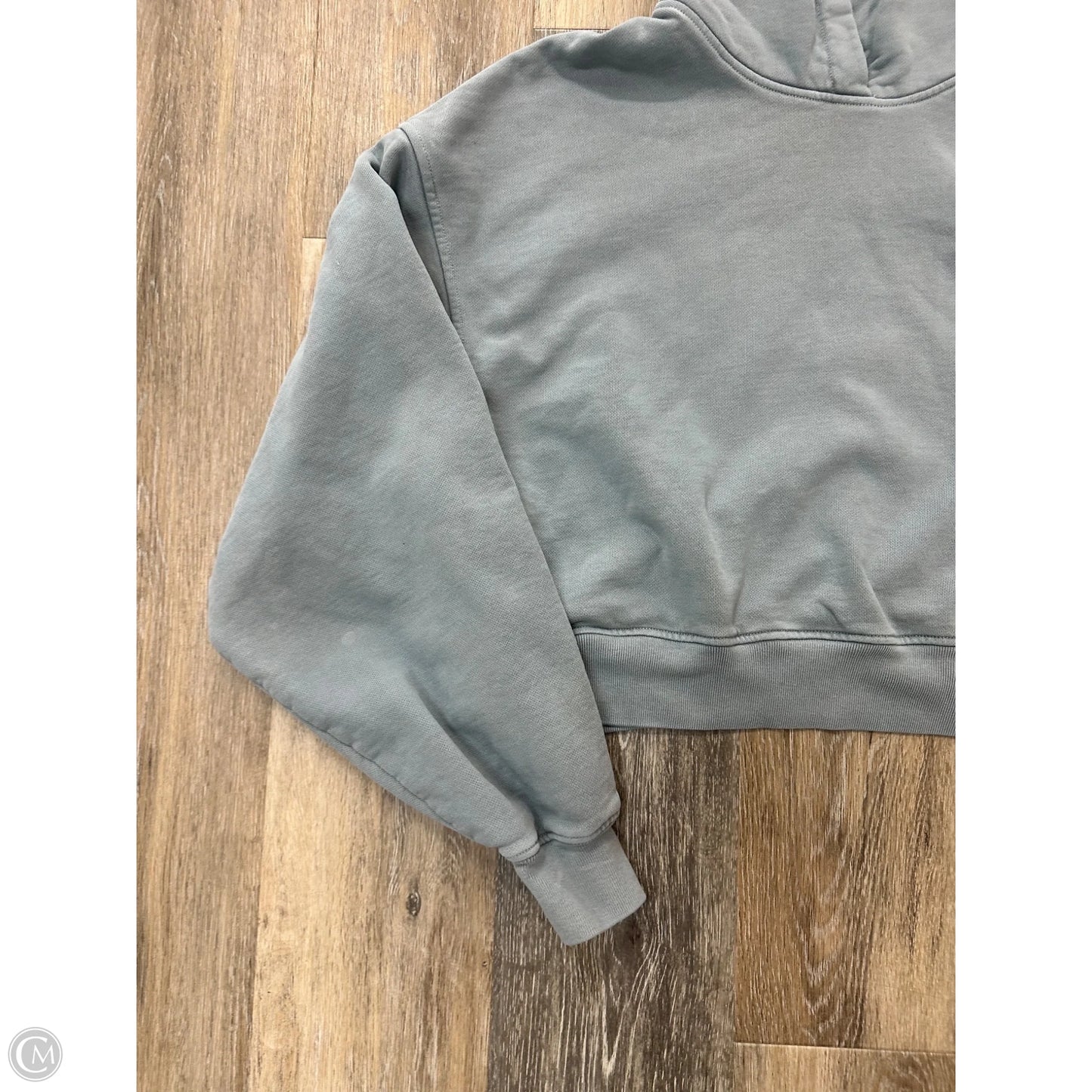 Sweatshirt Hoodie By Agolde In Blue, Size: M
