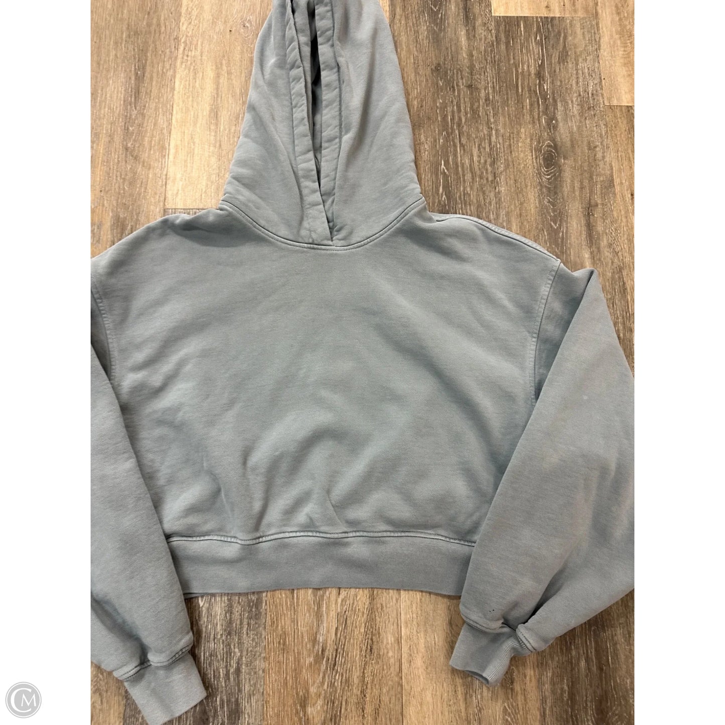 Sweatshirt Hoodie By Agolde In Blue, Size: M