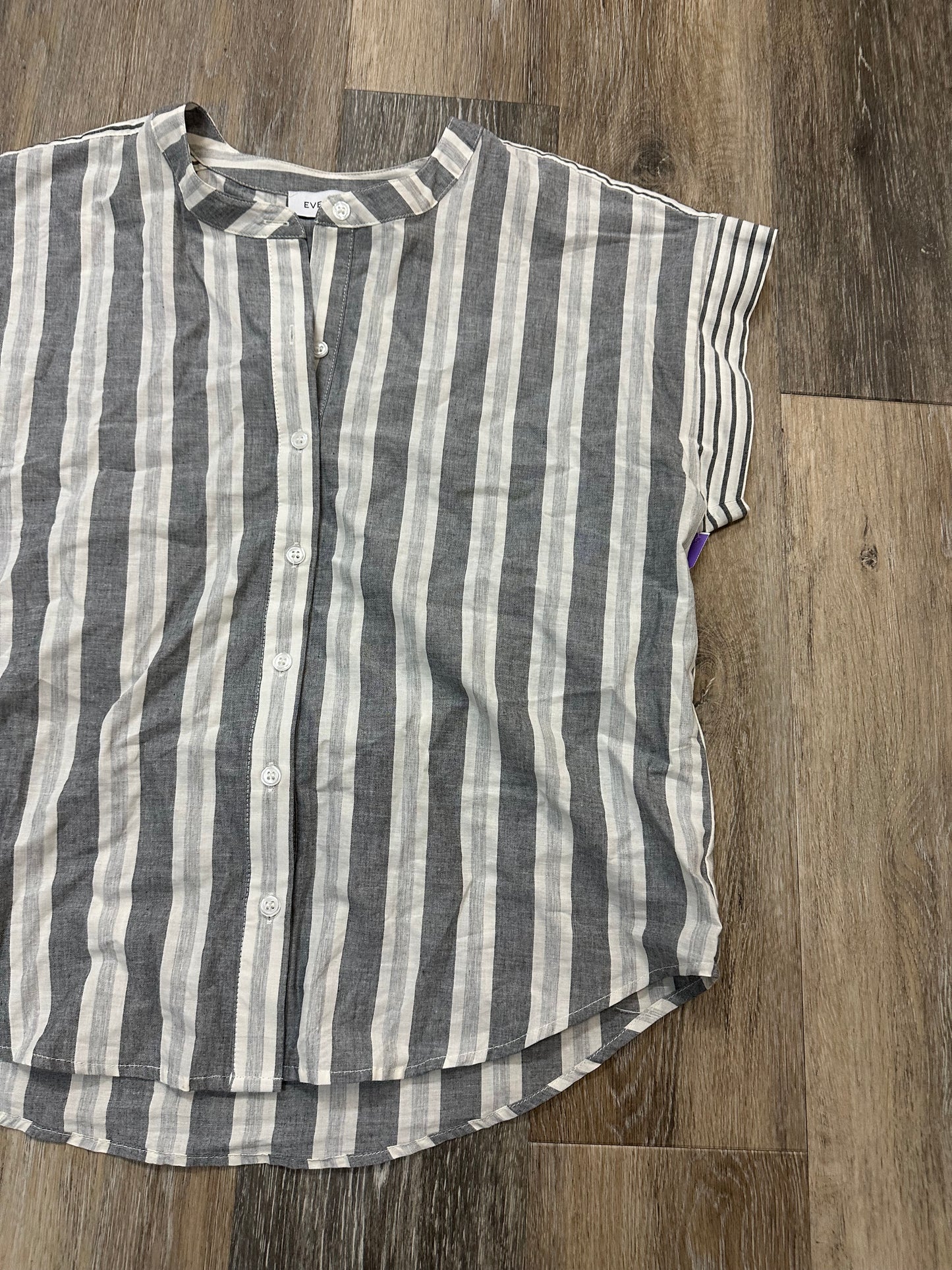 Blouse Short Sleeve By Evereve In Striped Pattern, Size: M