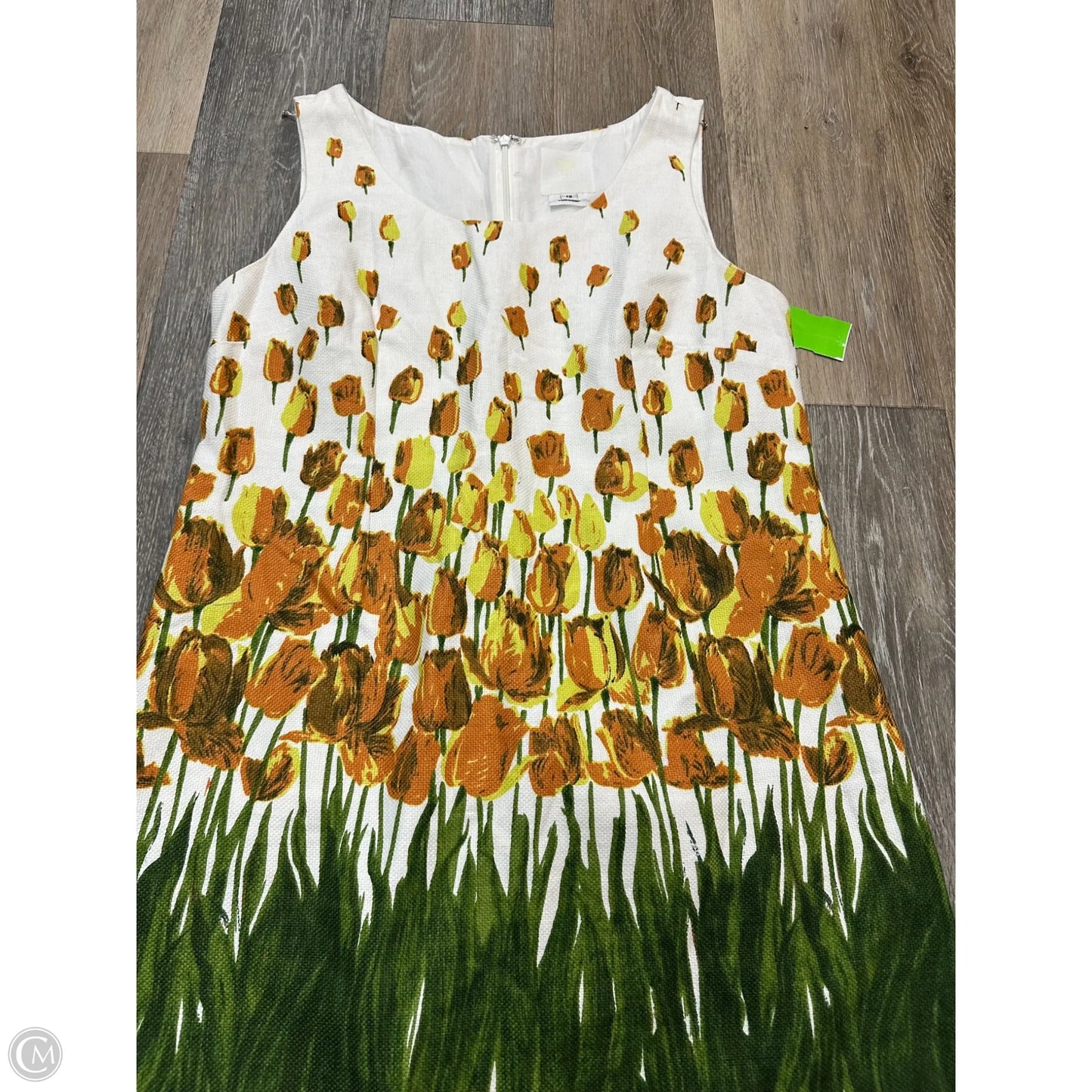 Dress Casual Short By Anna Sui In Floral Print, Size: 12