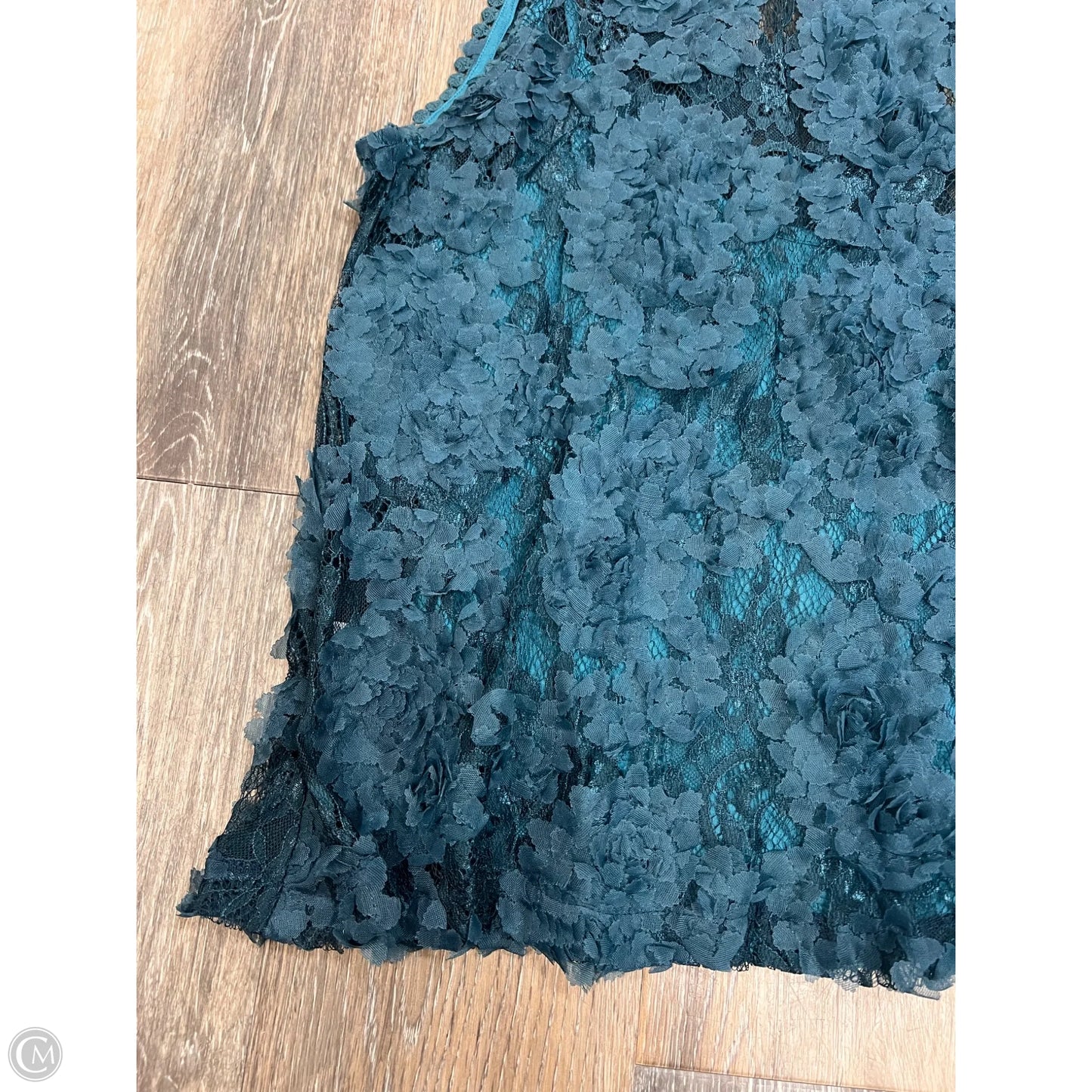 Top Sleeveless By Anthropologie In Blue, Size: L