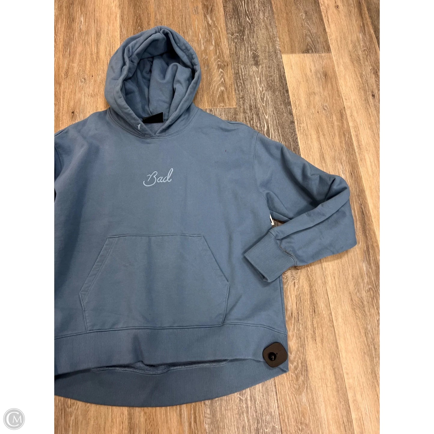 Athletic Sweatshirt Hoodie By Bad Birdie In Blue, Size: S
