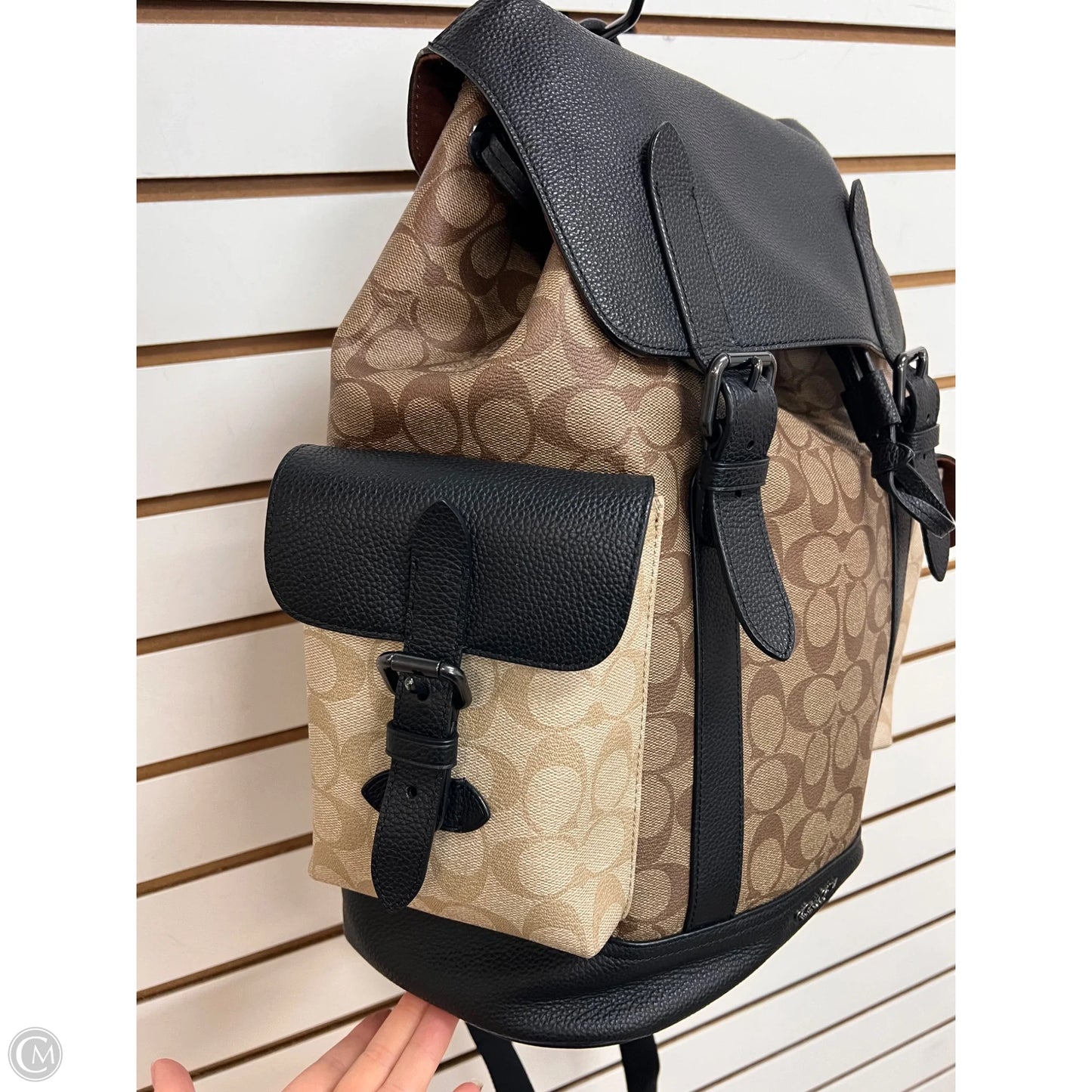 Backpack Designer By Coach, Size: Large