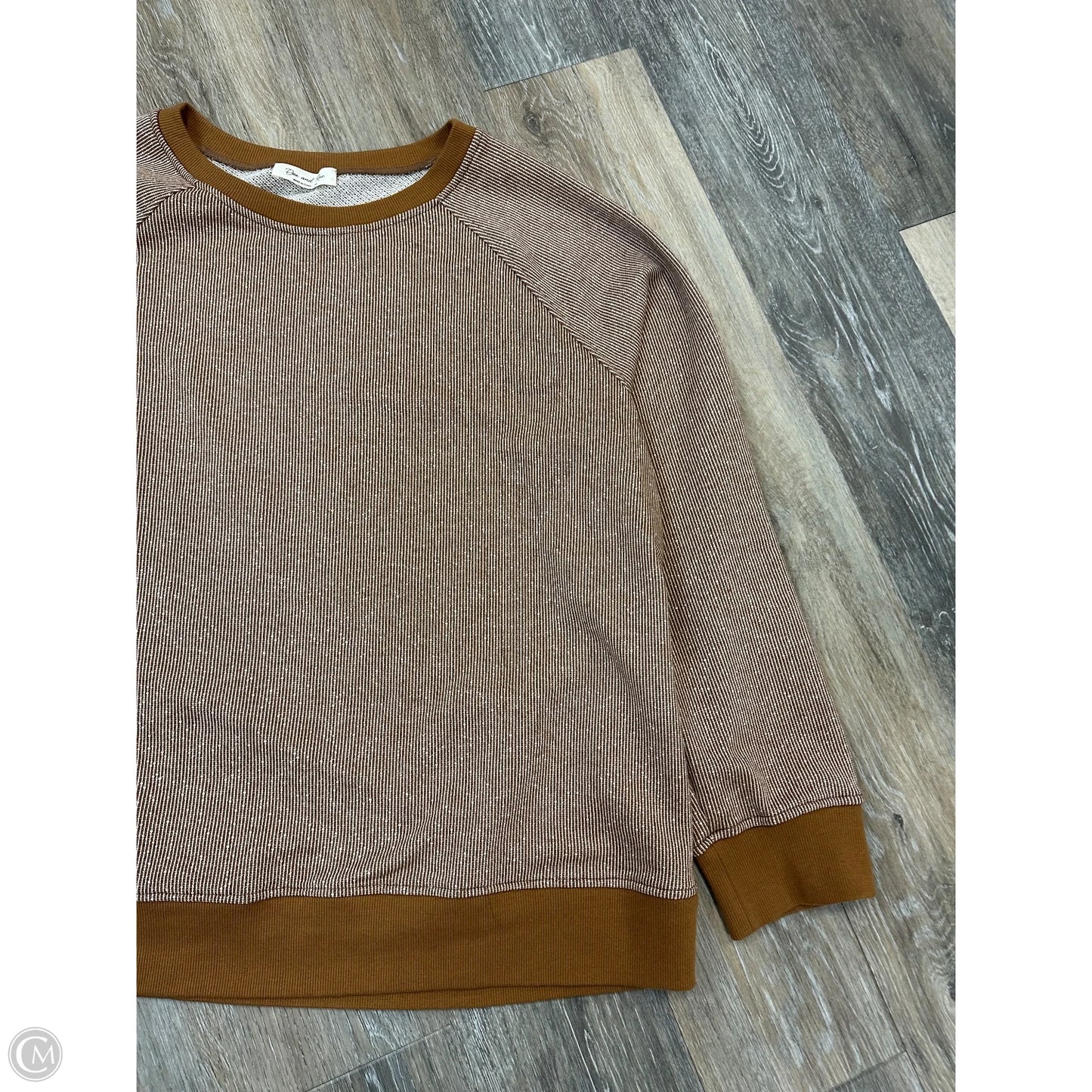 Sweatshirt Crewneck By Doe & Rae In Tan, Size: 2x