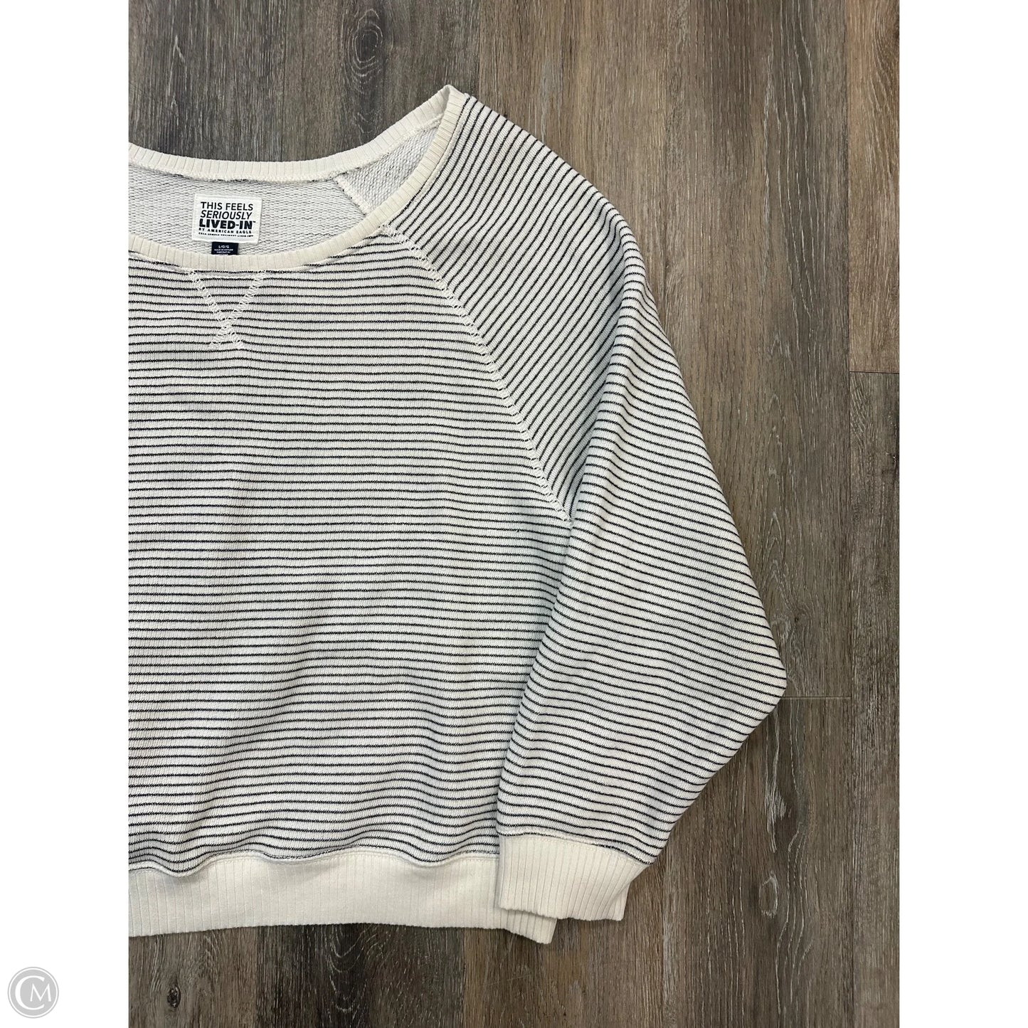 Top Long Sleeve By American Eagle In Striped Pattern, Size: L