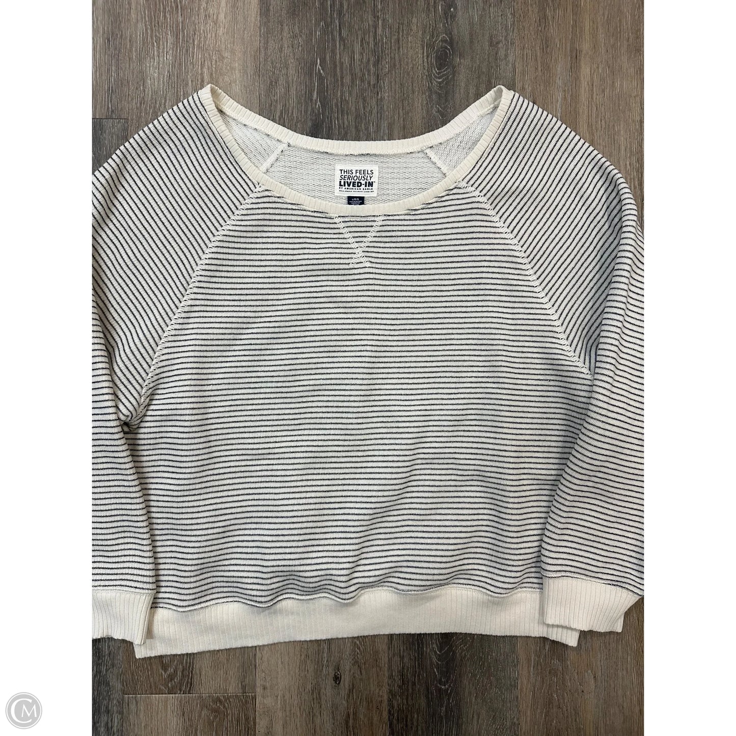 Top Long Sleeve By American Eagle In Striped Pattern, Size: L