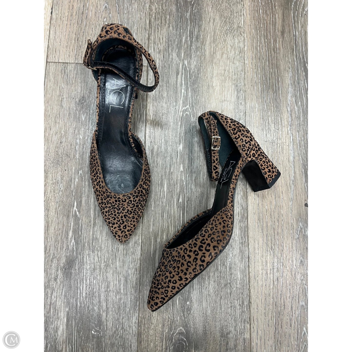 Shoes Heels Block By Agl In Animal Print, Size: 7.5
