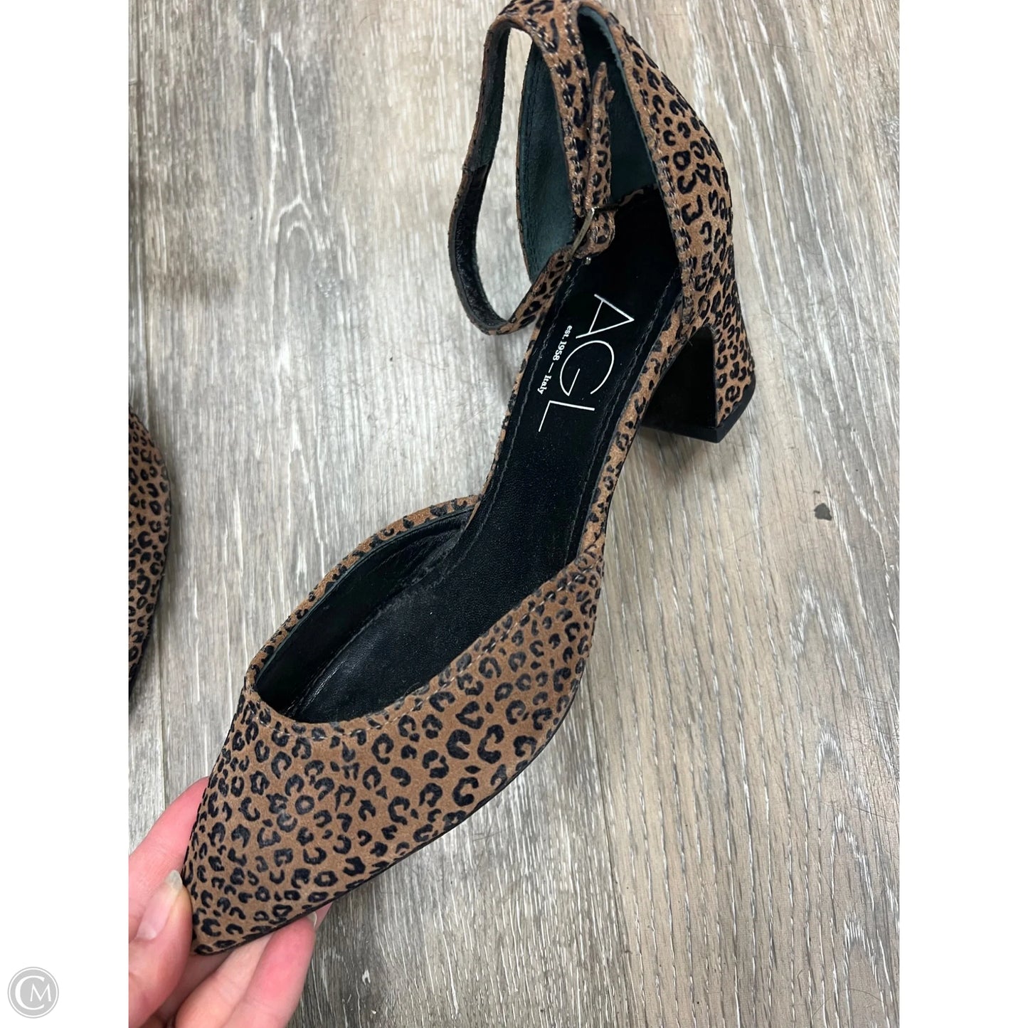 Shoes Heels Block By Agl In Animal Print, Size: 7.5