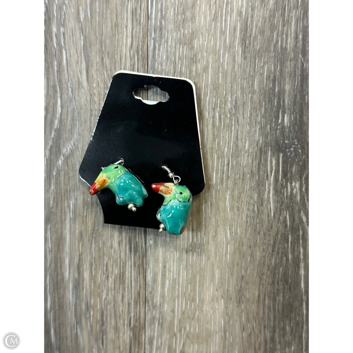 Earrings Other By Toucans