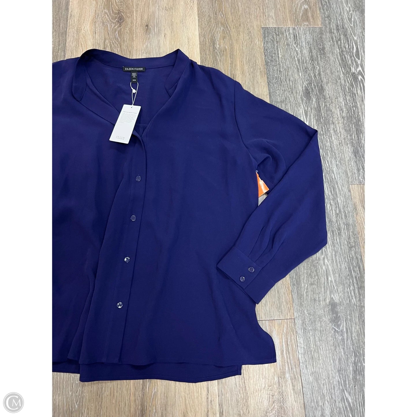 Blouse Long Sleeve By Eileen Fisher In Blue, Size: M