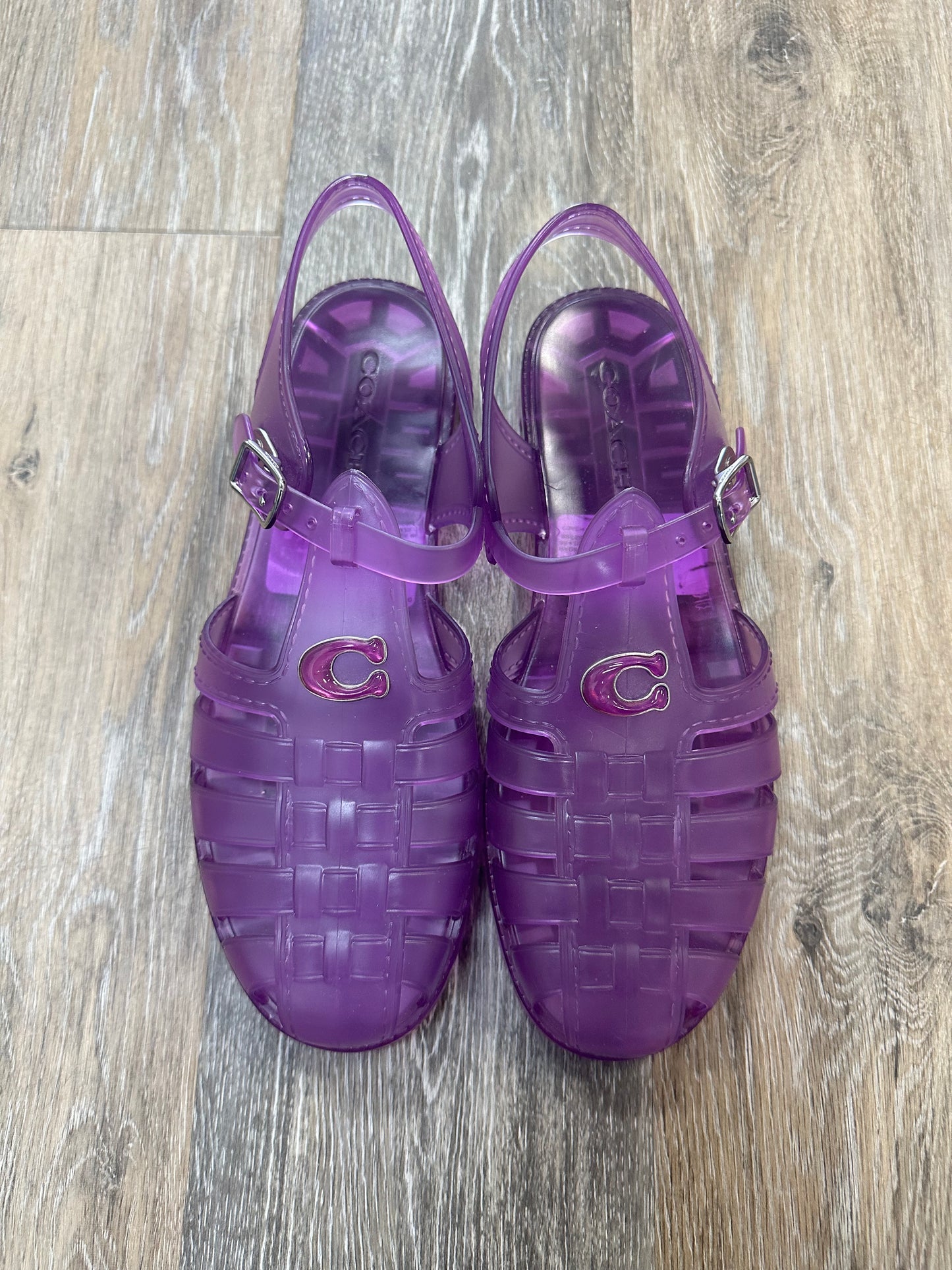 Purple Shoes Flats Coach, Size 10