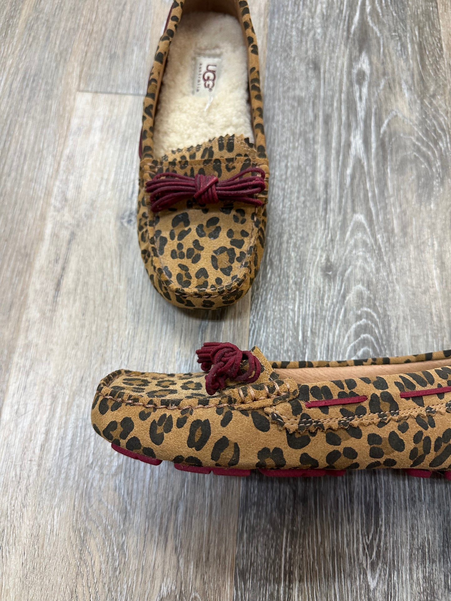 Shoes Flats By Ugg In Animal Print, Size: 7