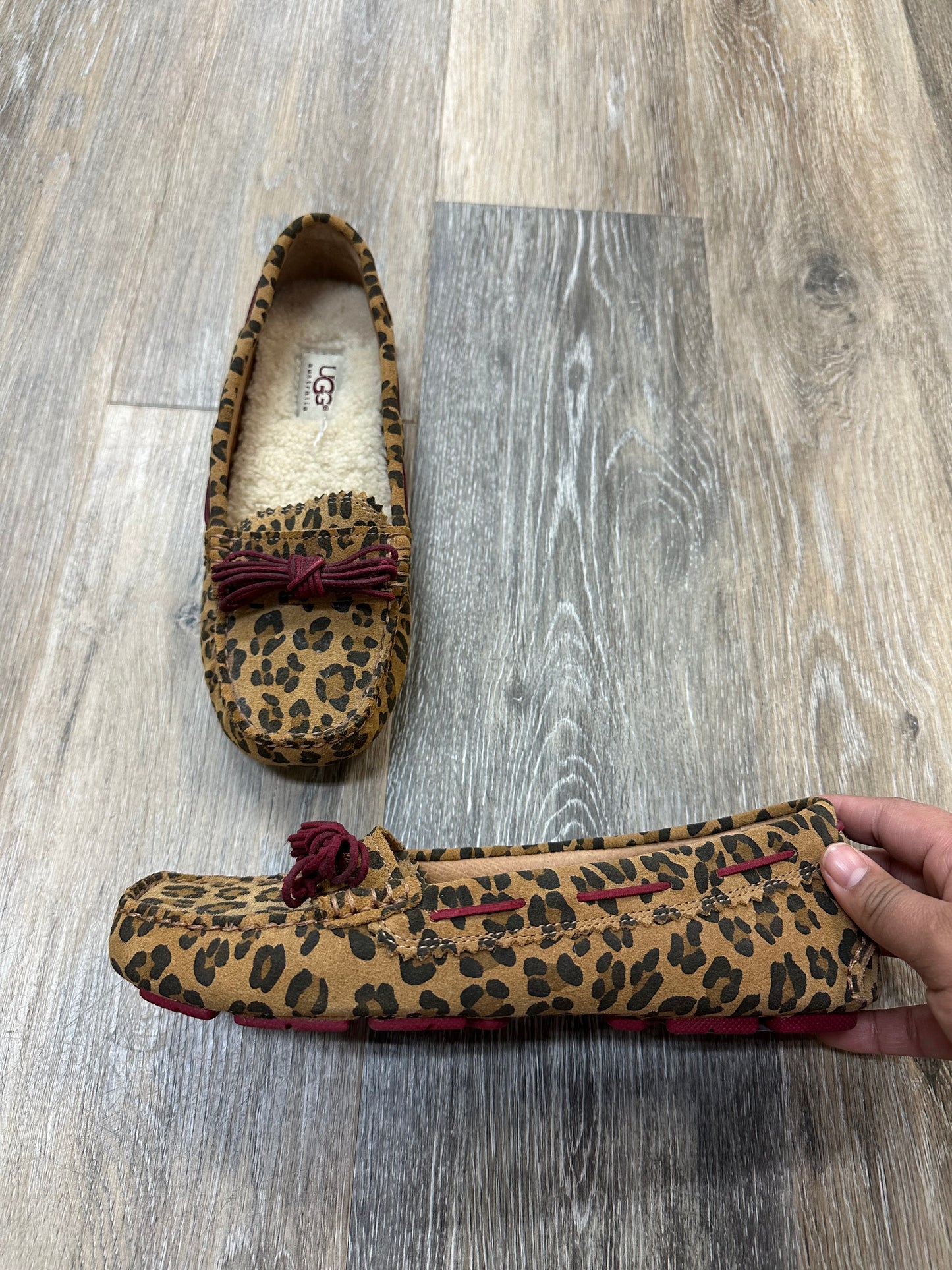 Shoes Flats By Ugg In Animal Print, Size: 7