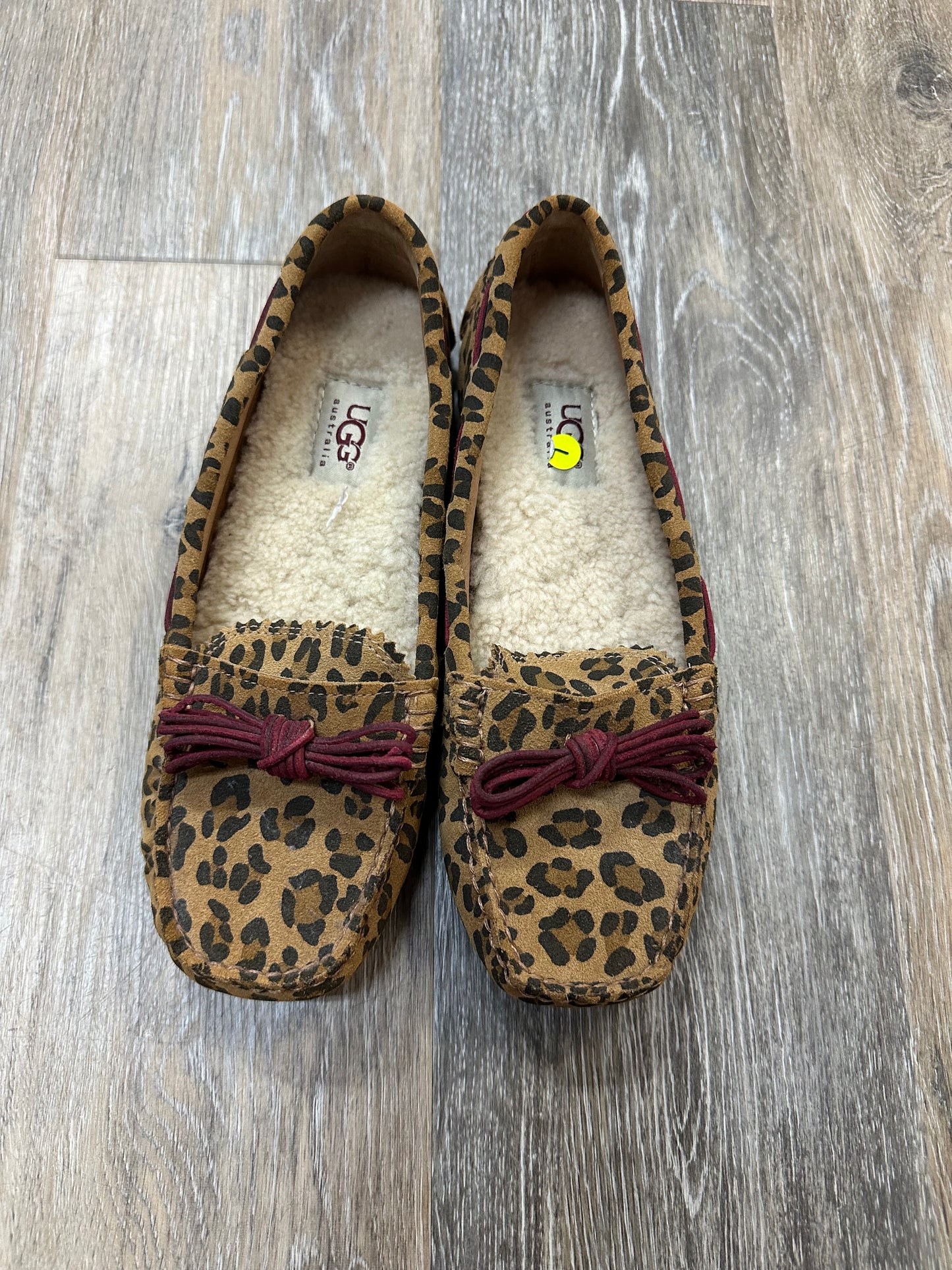 Shoes Flats By Ugg In Animal Print, Size: 7