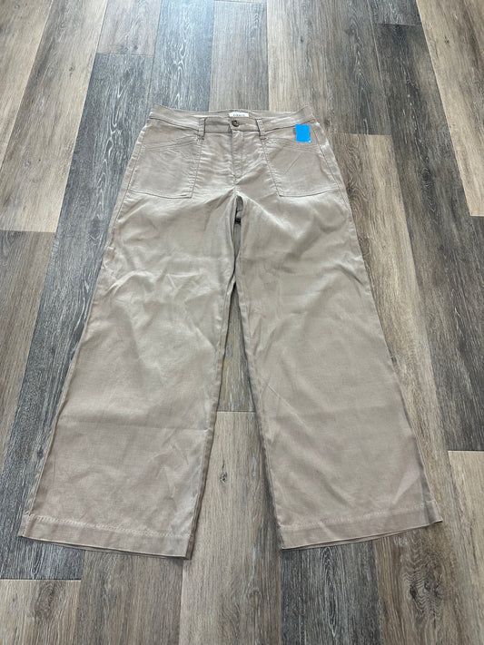 Tan Pants Chinos & Khakis Evereve, Size 10