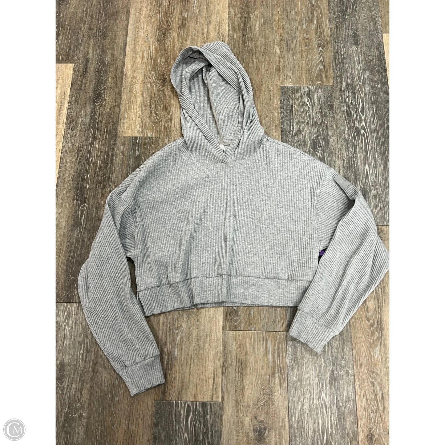 Athletic Top Long Sleeve Hoodie By Alo In Grey, Size: M