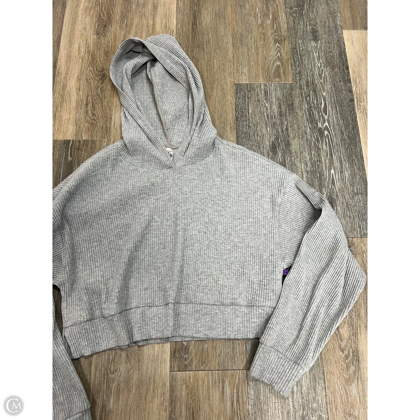 Athletic Top Long Sleeve Hoodie By Alo In Grey, Size: M