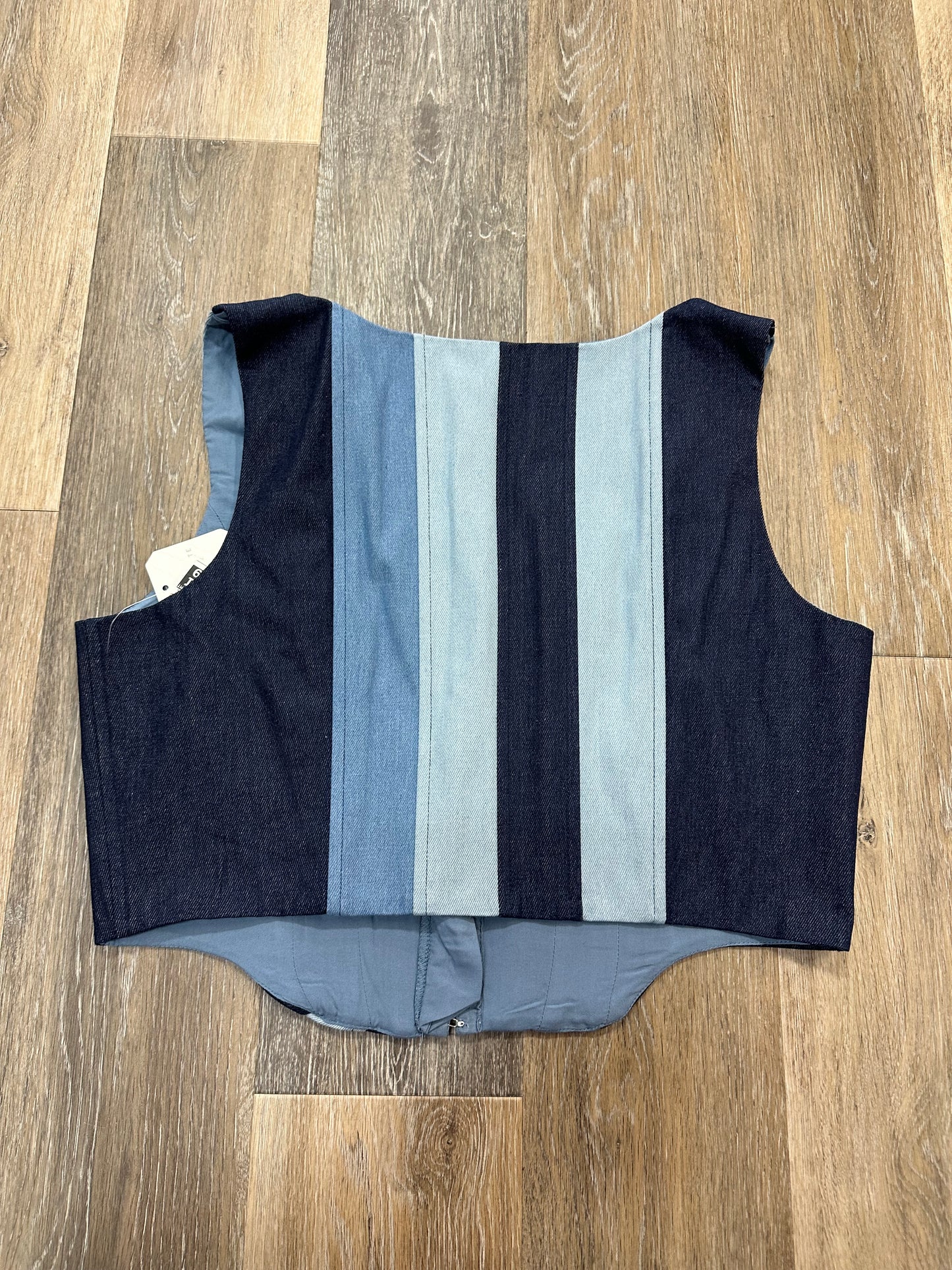 Top Sleeveless By Altard State In Blue, Size: Xl