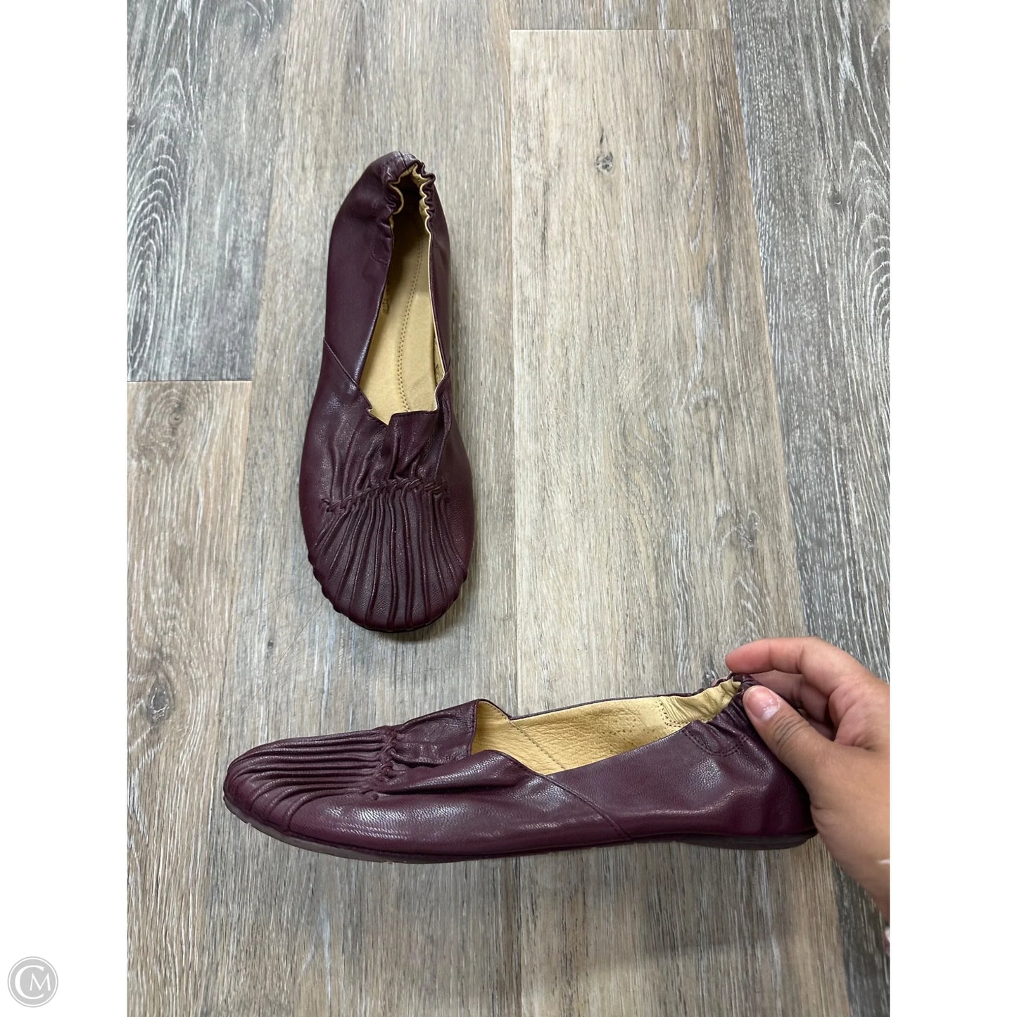 Shoes Flats By Chocolat Blu In Purple, Size: 9.5