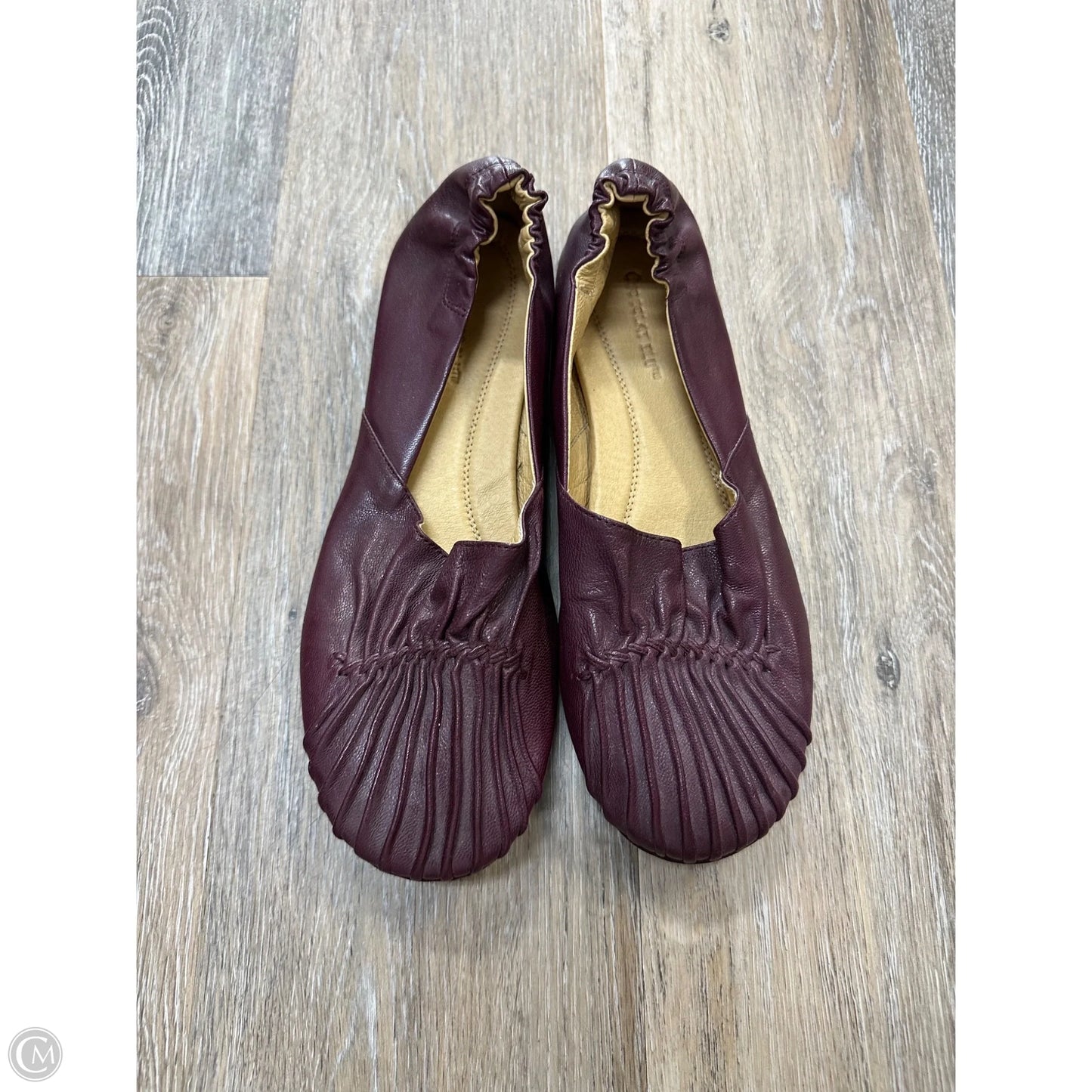 Shoes Flats By Chocolat Blu In Purple, Size: 9.5