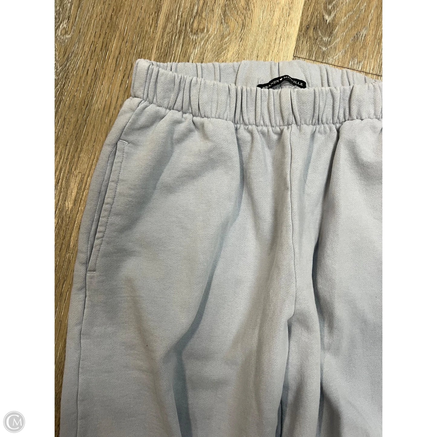 Athletic Pants By Brandy Melville In Blue, Size: Osfm