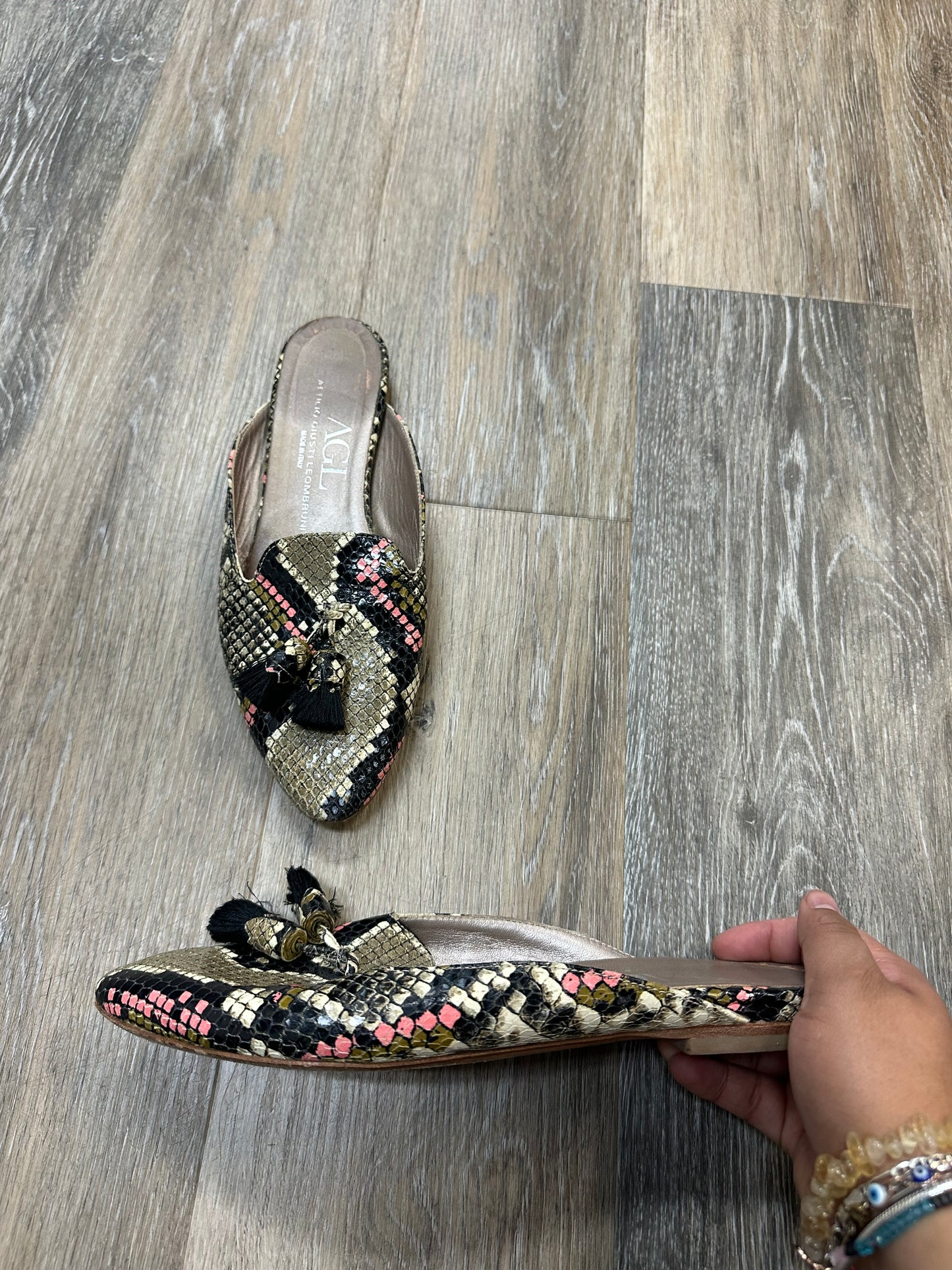 Shoes Flats By Agl In Snakeskin Print, Size: 7.5