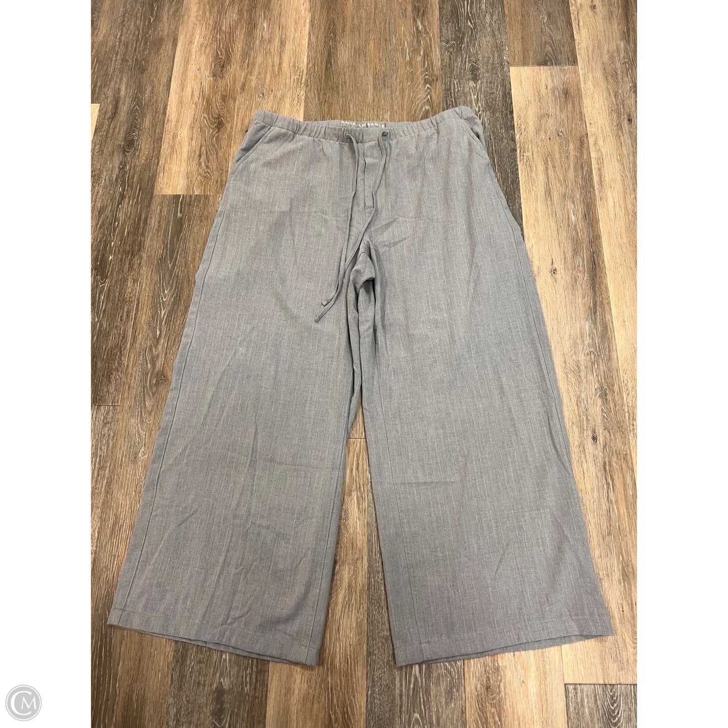 Pants Other By American Eagle In Grey, Size: Xl