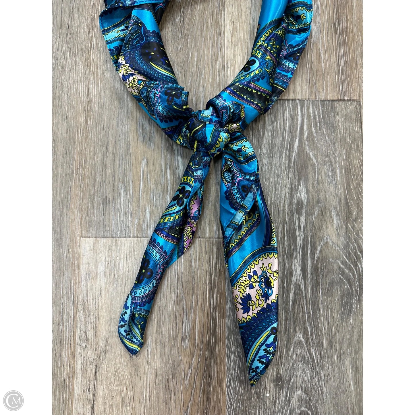 Scarf Long By Clothes Mentor