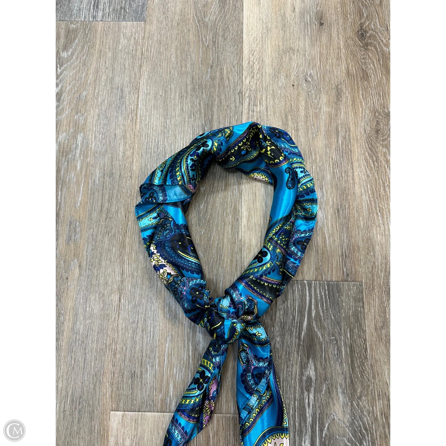 Scarf Long By Clothes Mentor