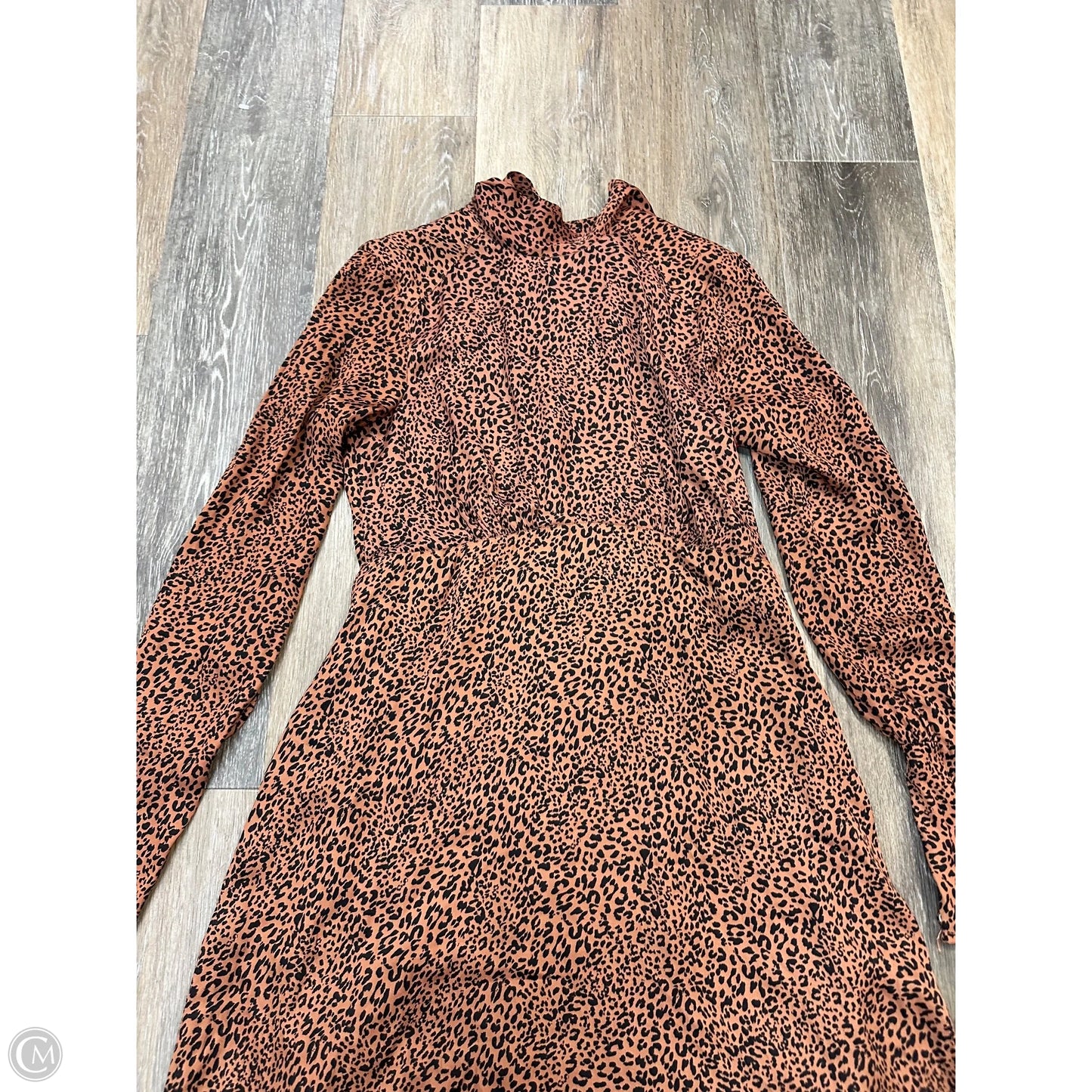 Dress Casual Maxi By Free People In Animal Print, Size: 6