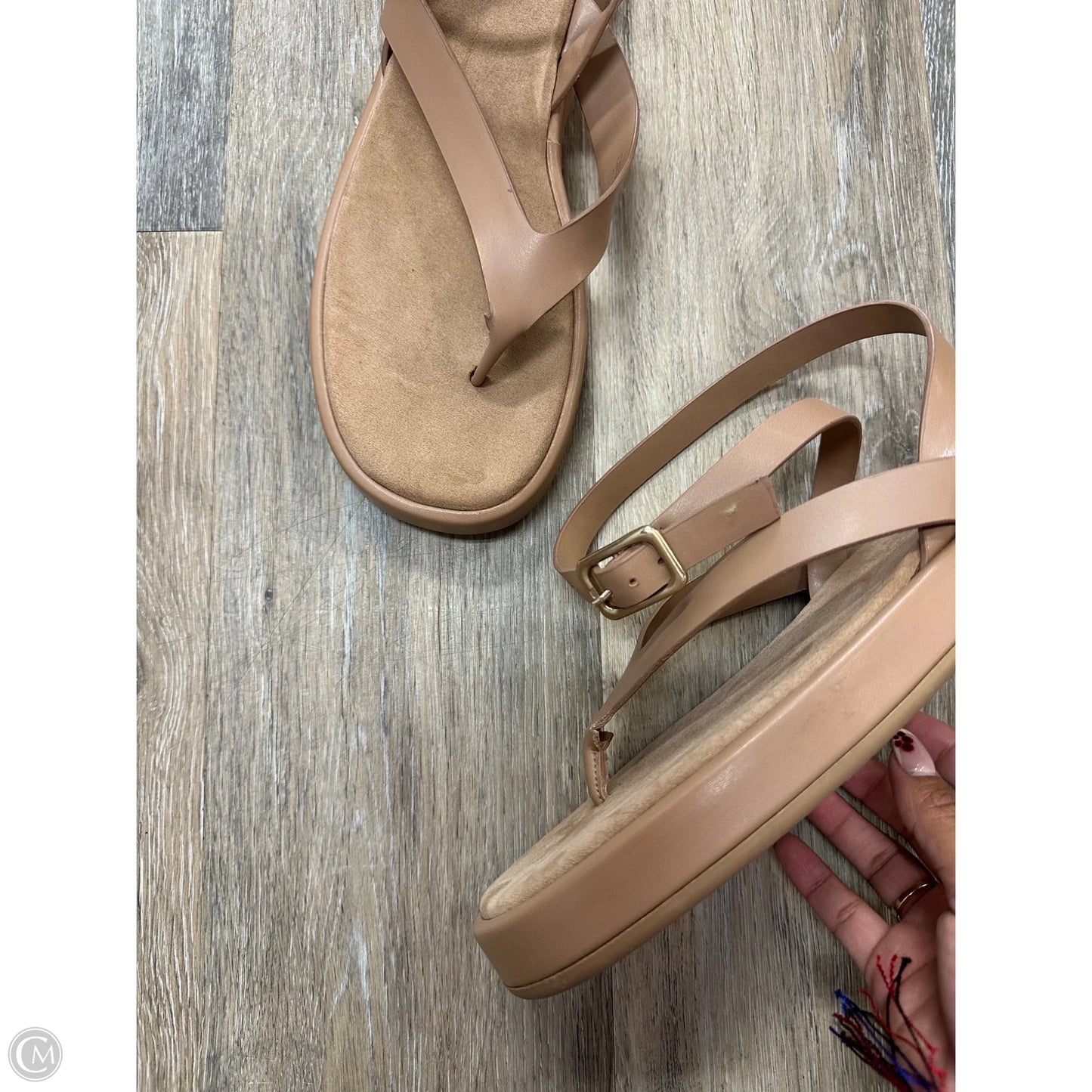 -Sandals Flip Flops By Mng In Tan, Size: 11