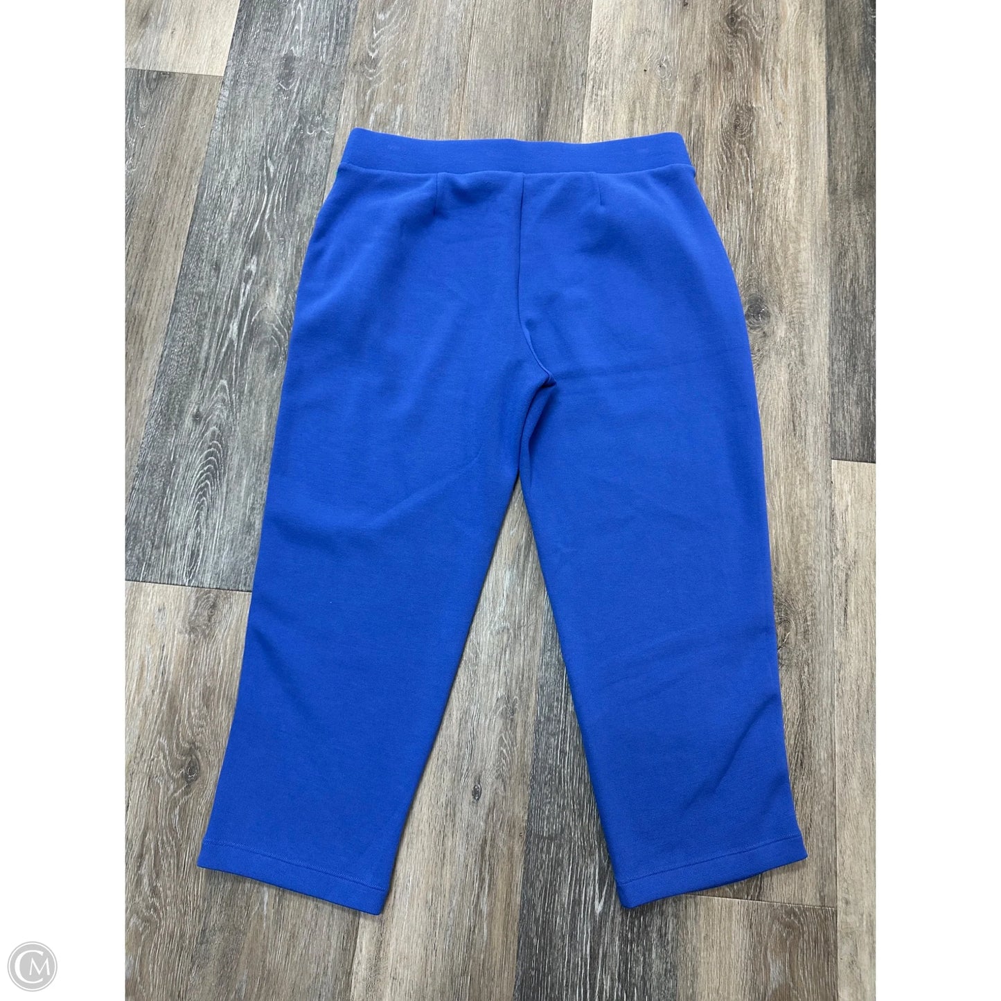 Athletic Pants By Chicos In Blue, Size: M