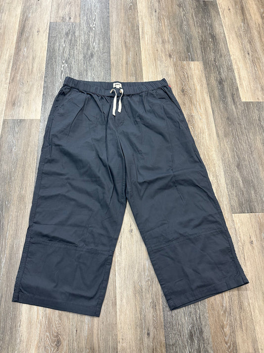 Pants Cargo & Utility By Pact  Size: Xxl