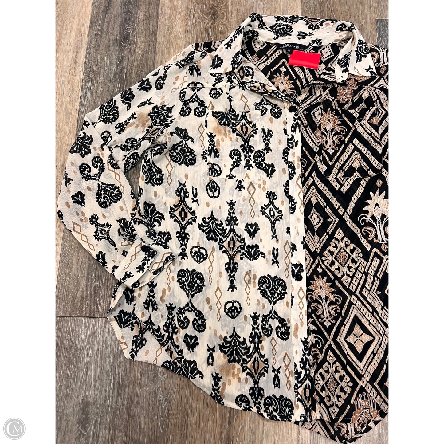 Blouse Long Sleeve By Charlie B In Black & Cream, Size: L