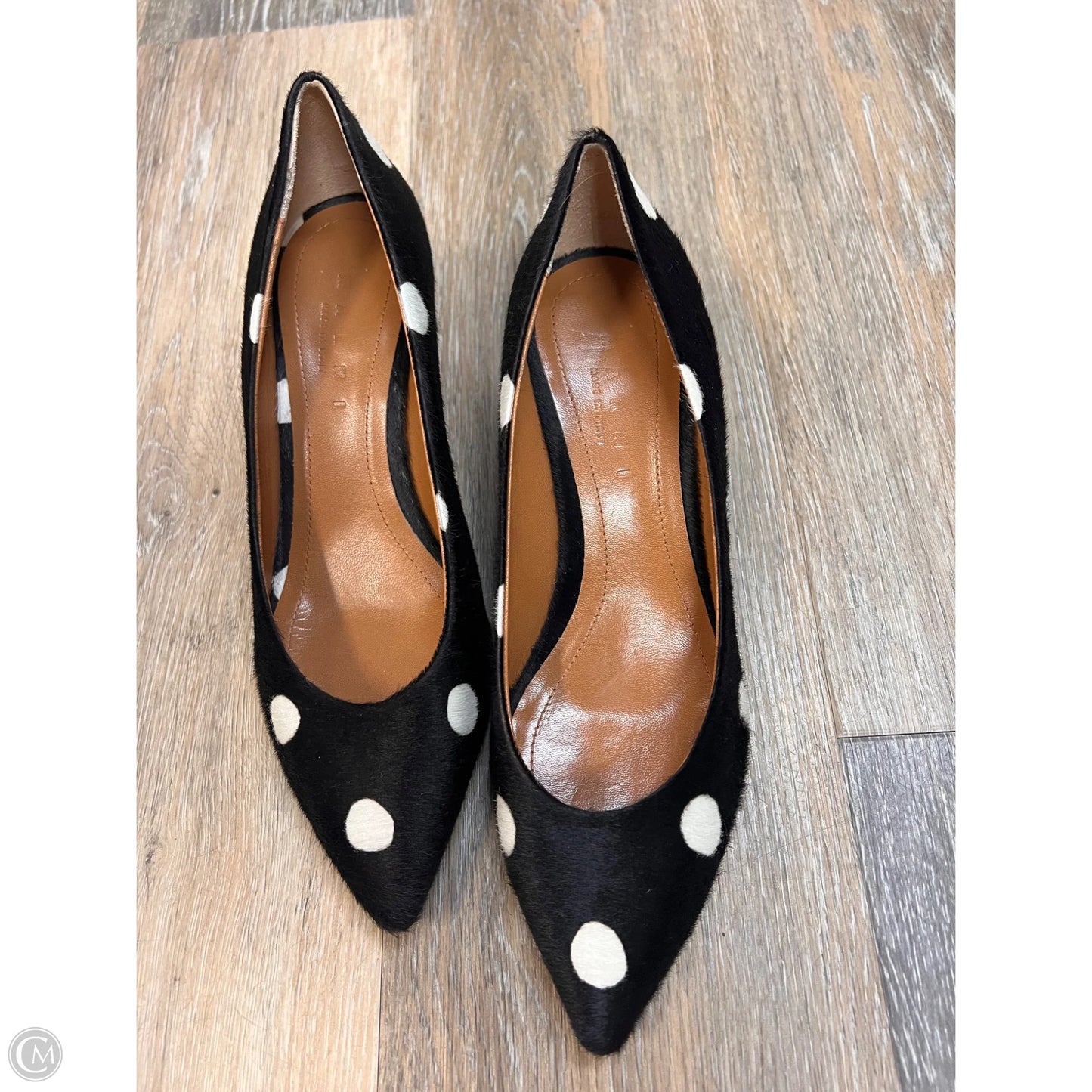 Shoes Designer By Marni In Polkadot Pattern, Size: 7.5/37.5