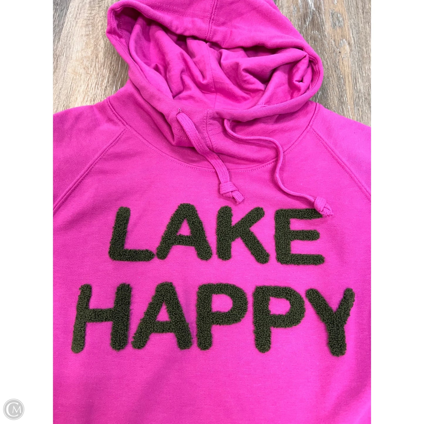 Sweatshirt Hoodie By Lake Happy In Pink, Size: Xxl