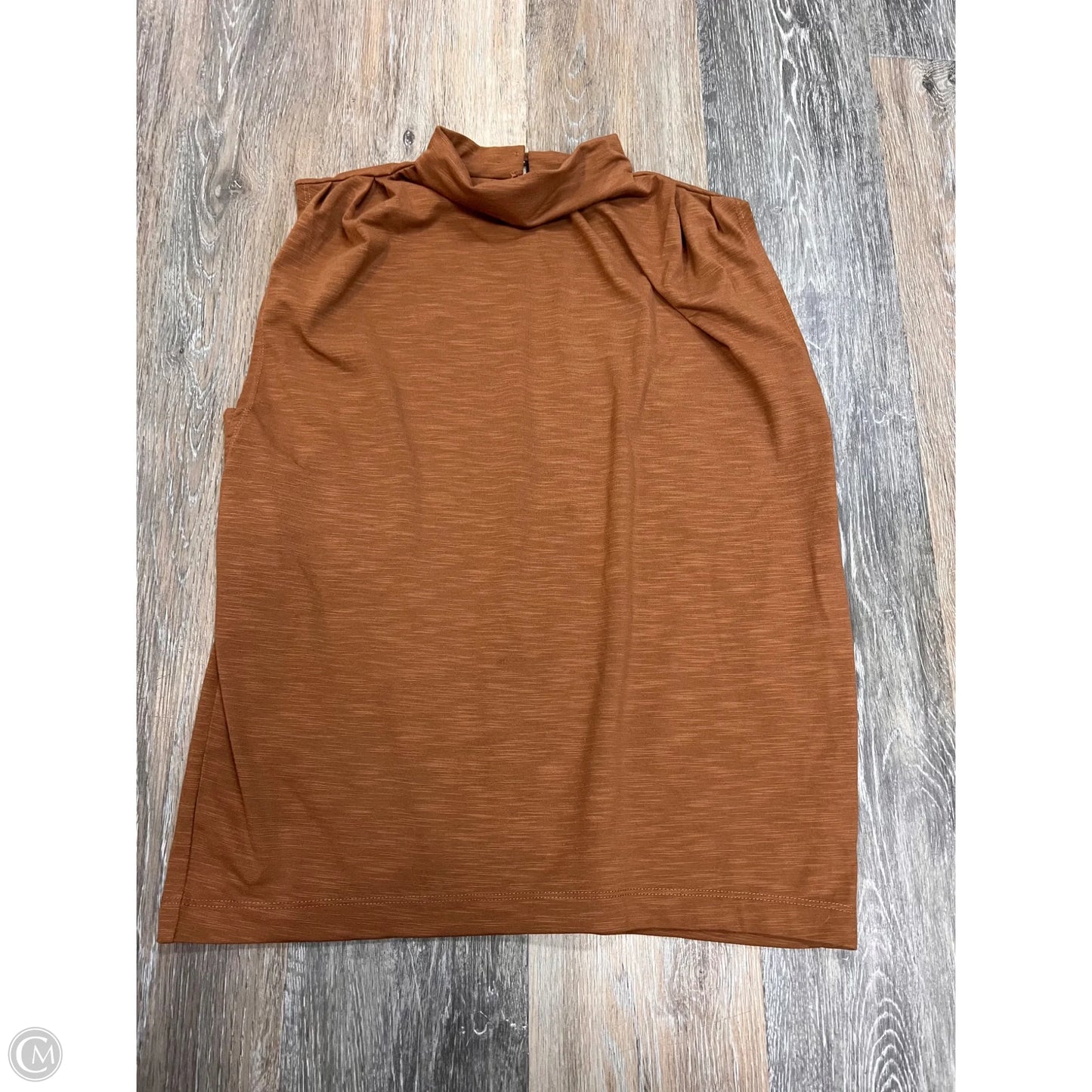 Top Short Sleeve By Evereve In Tan, Size: Xs