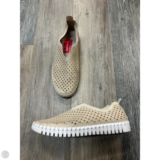 Shoes Flats By Ilse Jacobsen In Cream, Size: 9