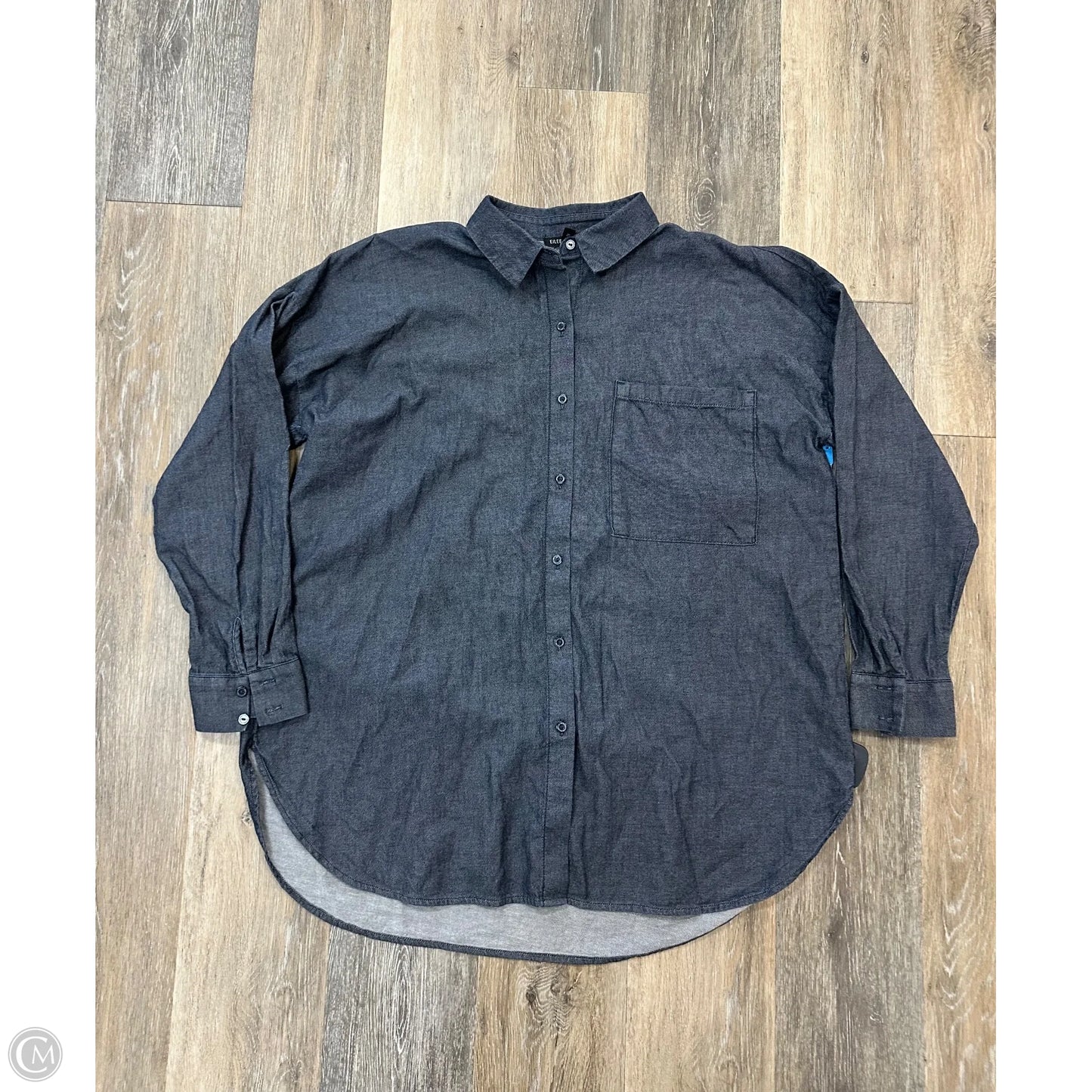 Blouse Long Sleeve By Eileen Fisher In Blue, Size: M