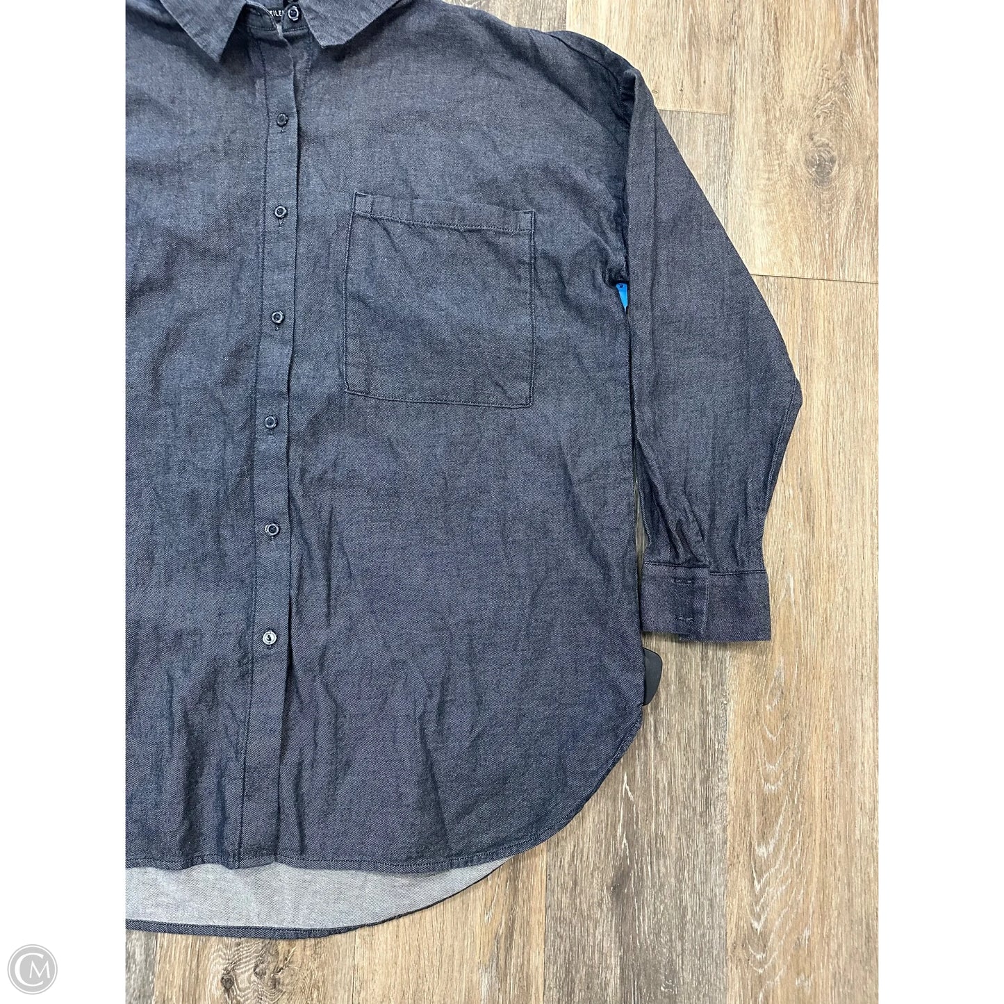 Blouse Long Sleeve By Eileen Fisher In Blue, Size: M