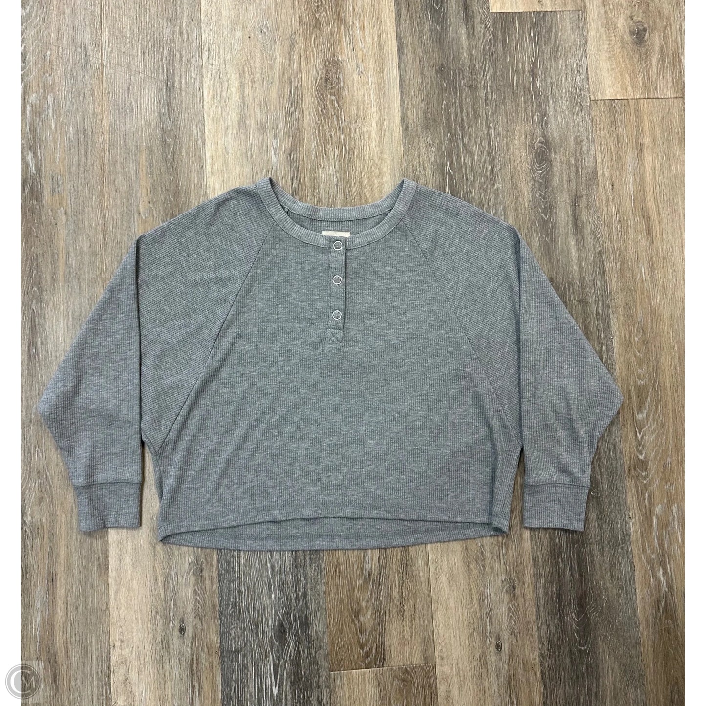 Top Long Sleeve By Chaser In Grey, Size: M