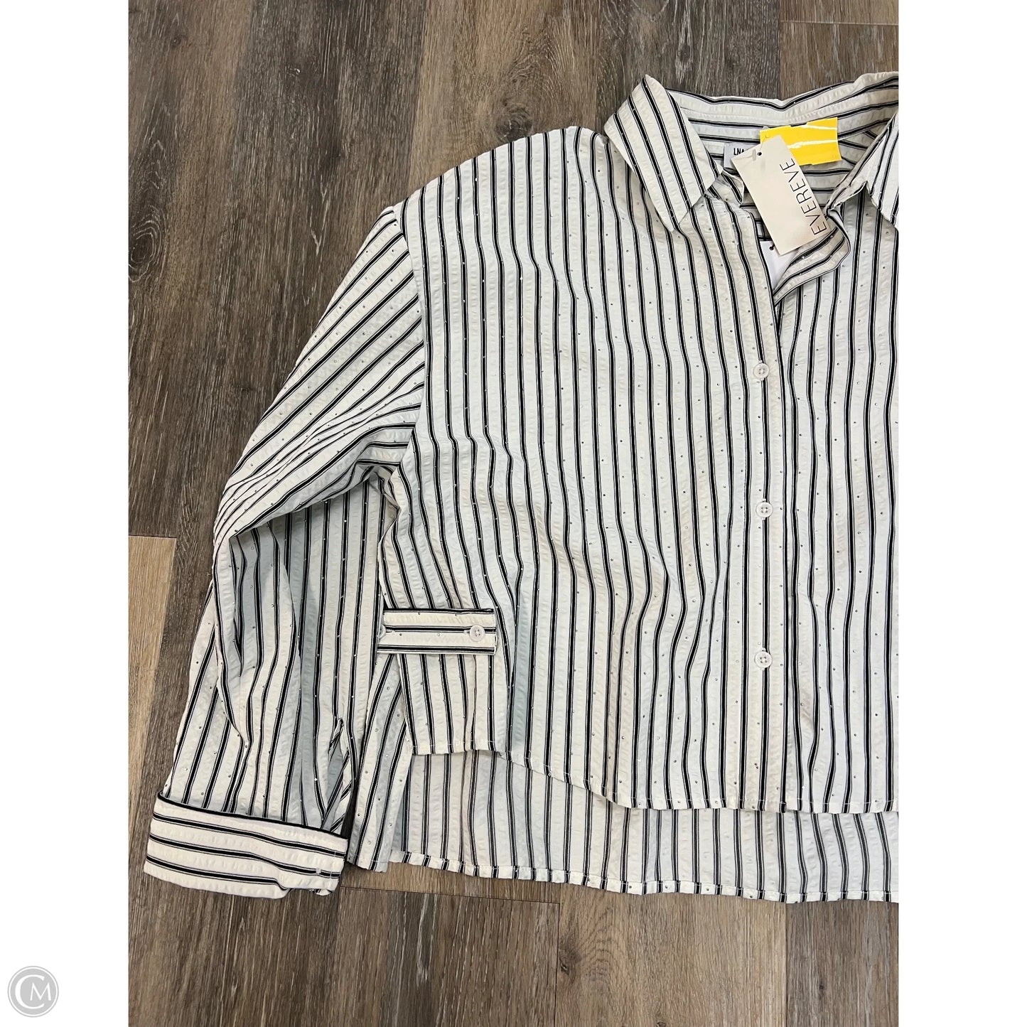 Blouse Long Sleeve By Lna In Striped Pattern, Size: L