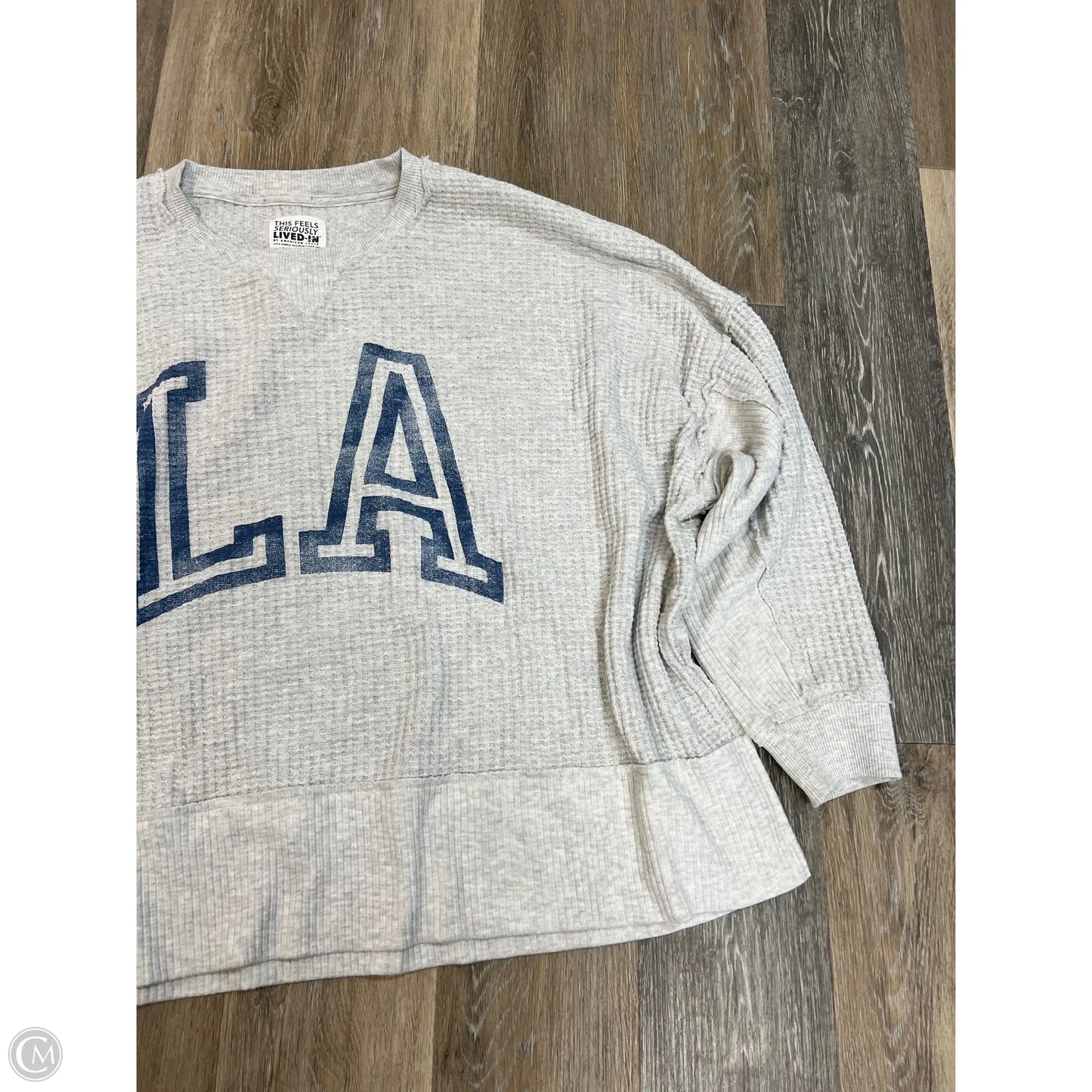 Top Long Sleeve By American Eagle In Grey, Size: L