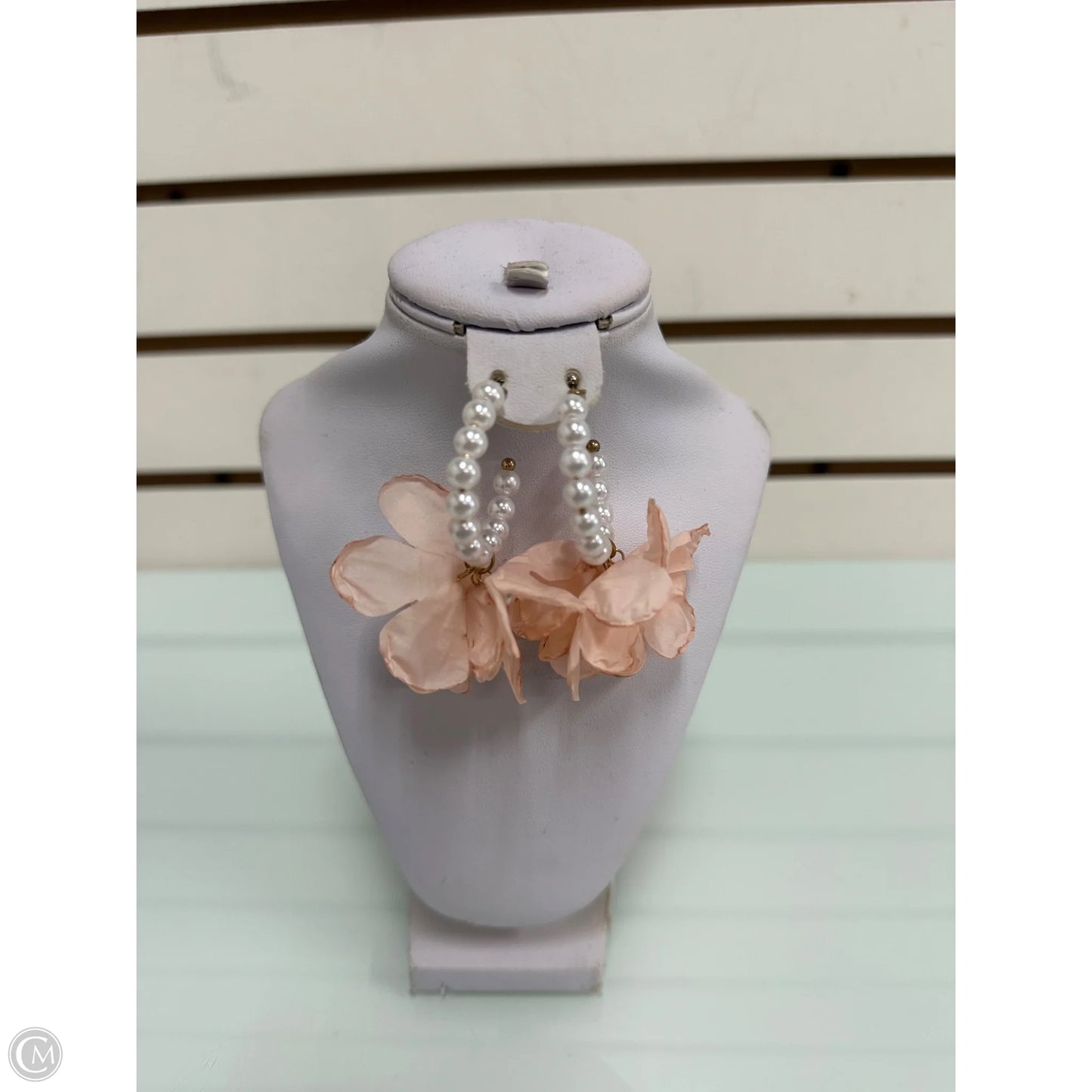 Earrings Dangle/drop By Clothes Mentor