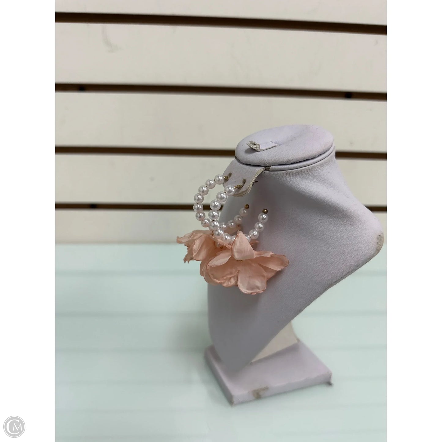 Earrings Dangle/drop By Clothes Mentor