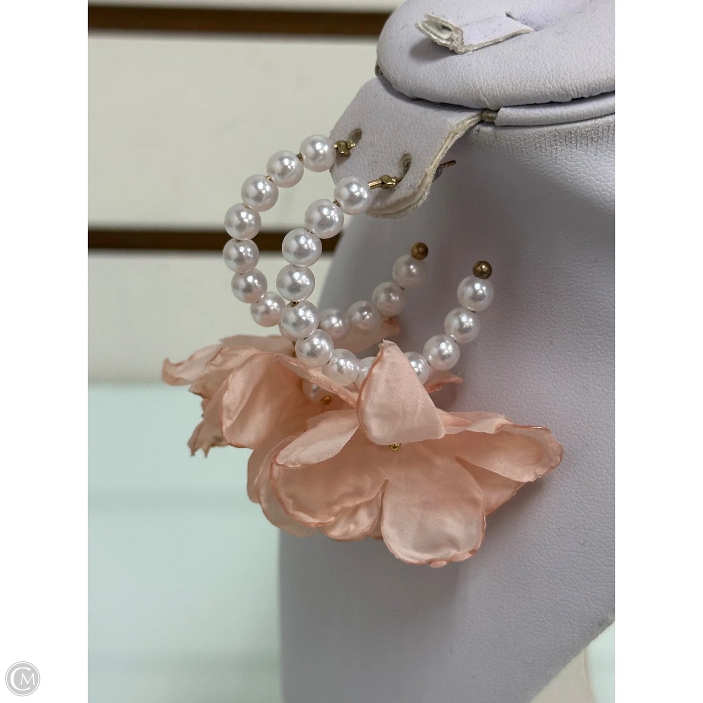 Earrings Dangle/drop By Clothes Mentor