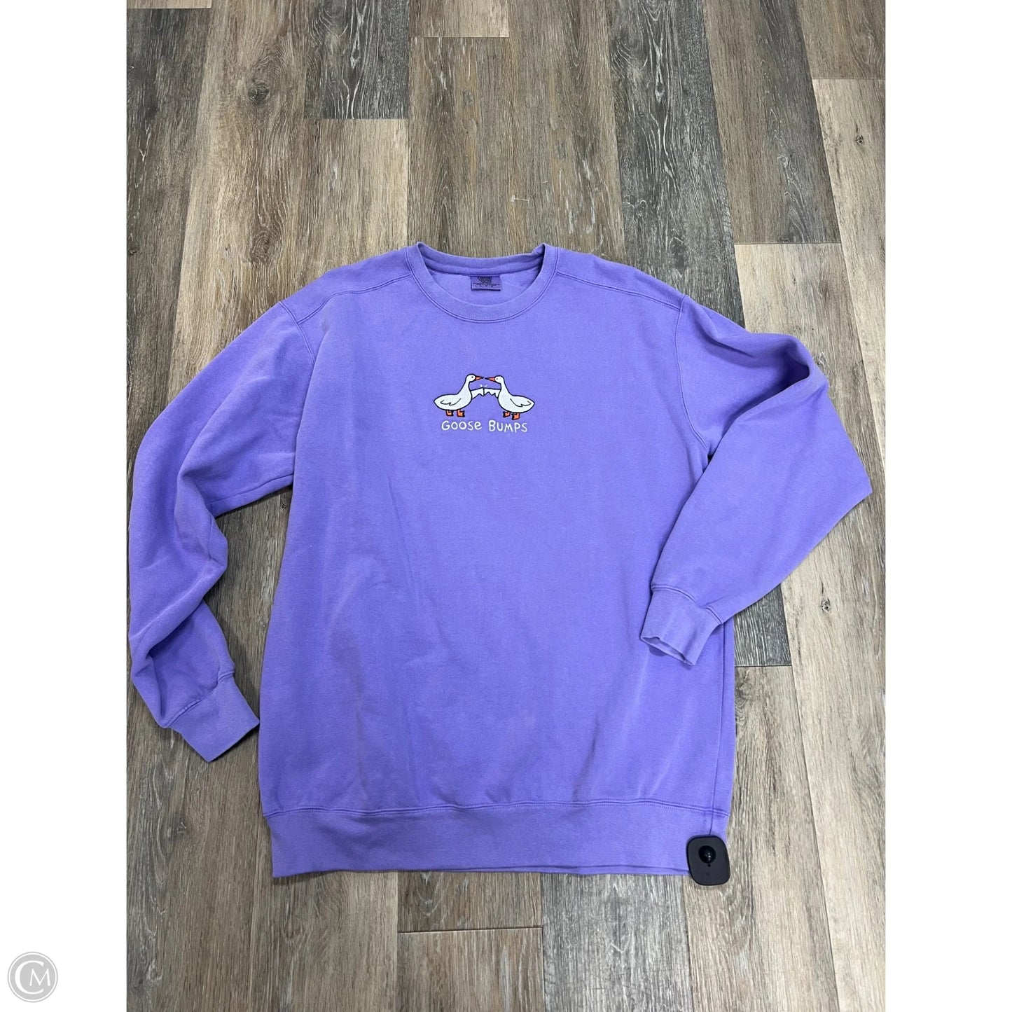 Sweatshirt Crewneck By Comfort Colors In Purple, Size: L