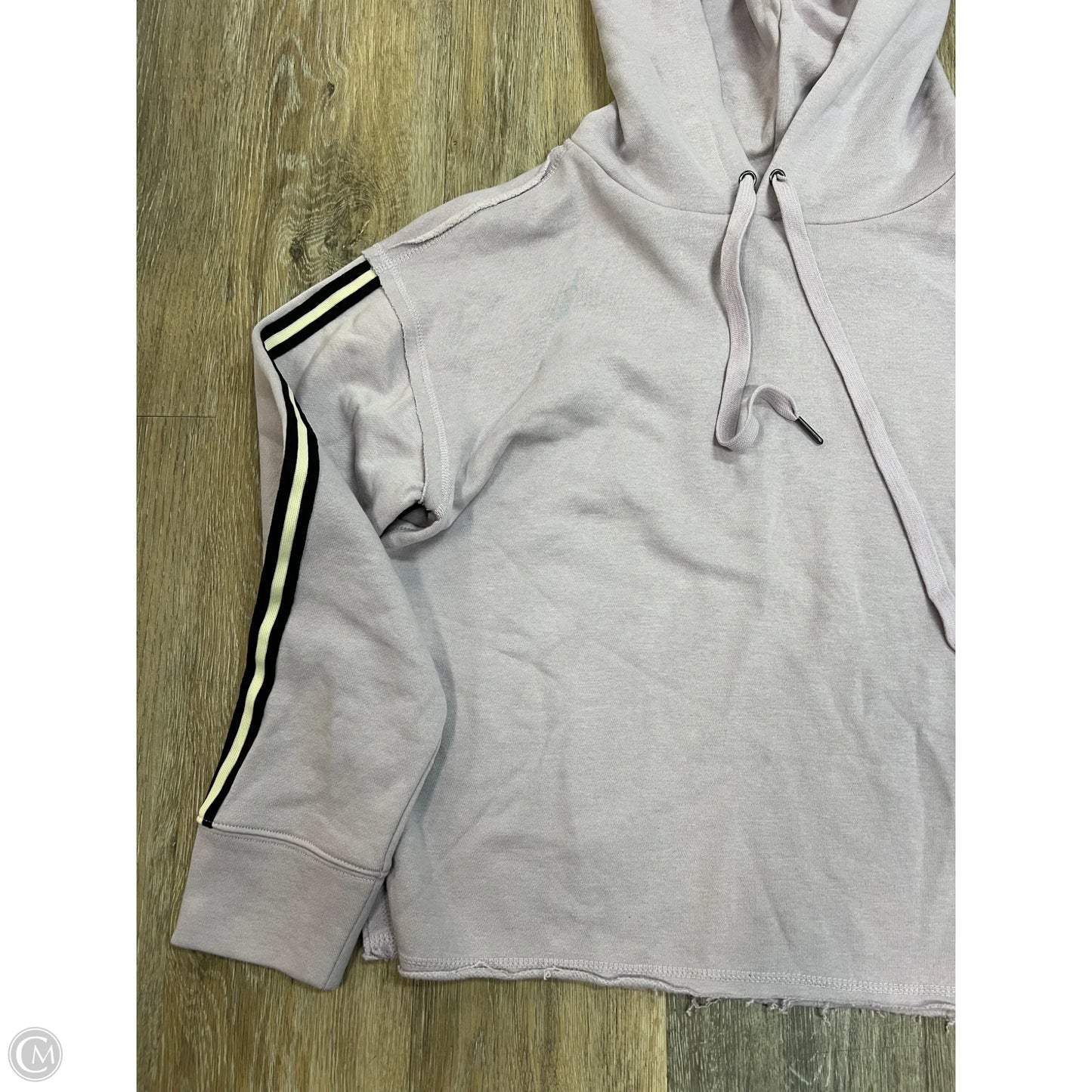 Sweatshirt Hoodie By Evereve In Purple, Size: M