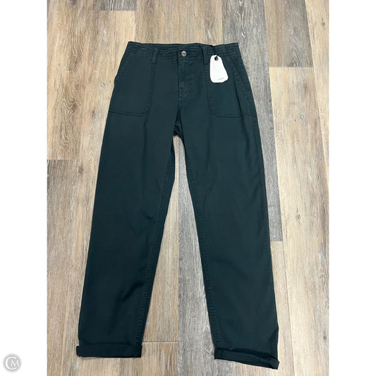 Pants Cargo & Utility By Prana In Blue, Size: 4