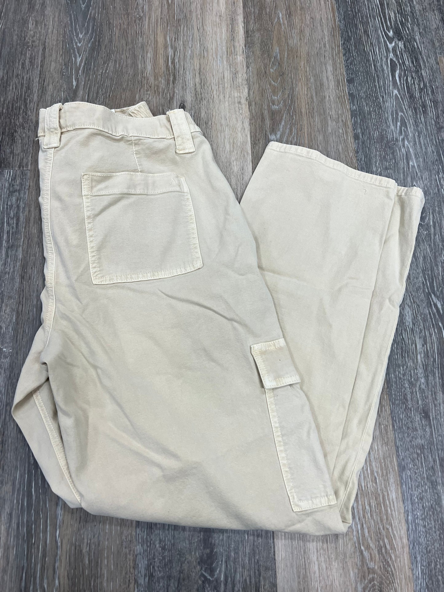 Pants Cargo & Utility By American Eagle  Size: 10